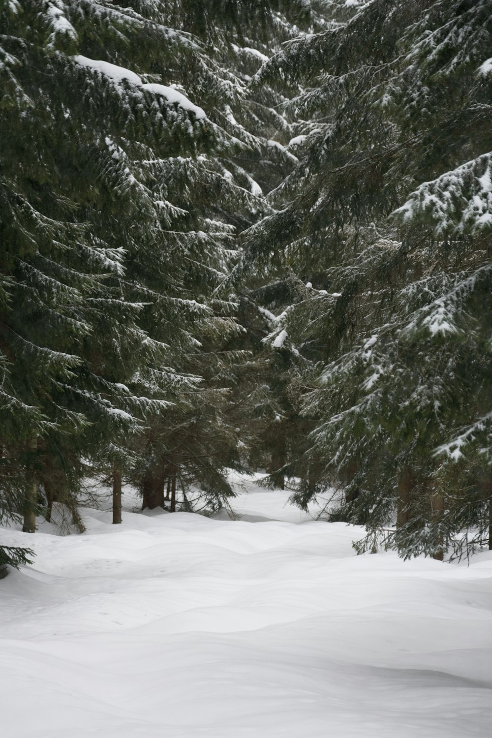 a person riding skis down a snow covered slope