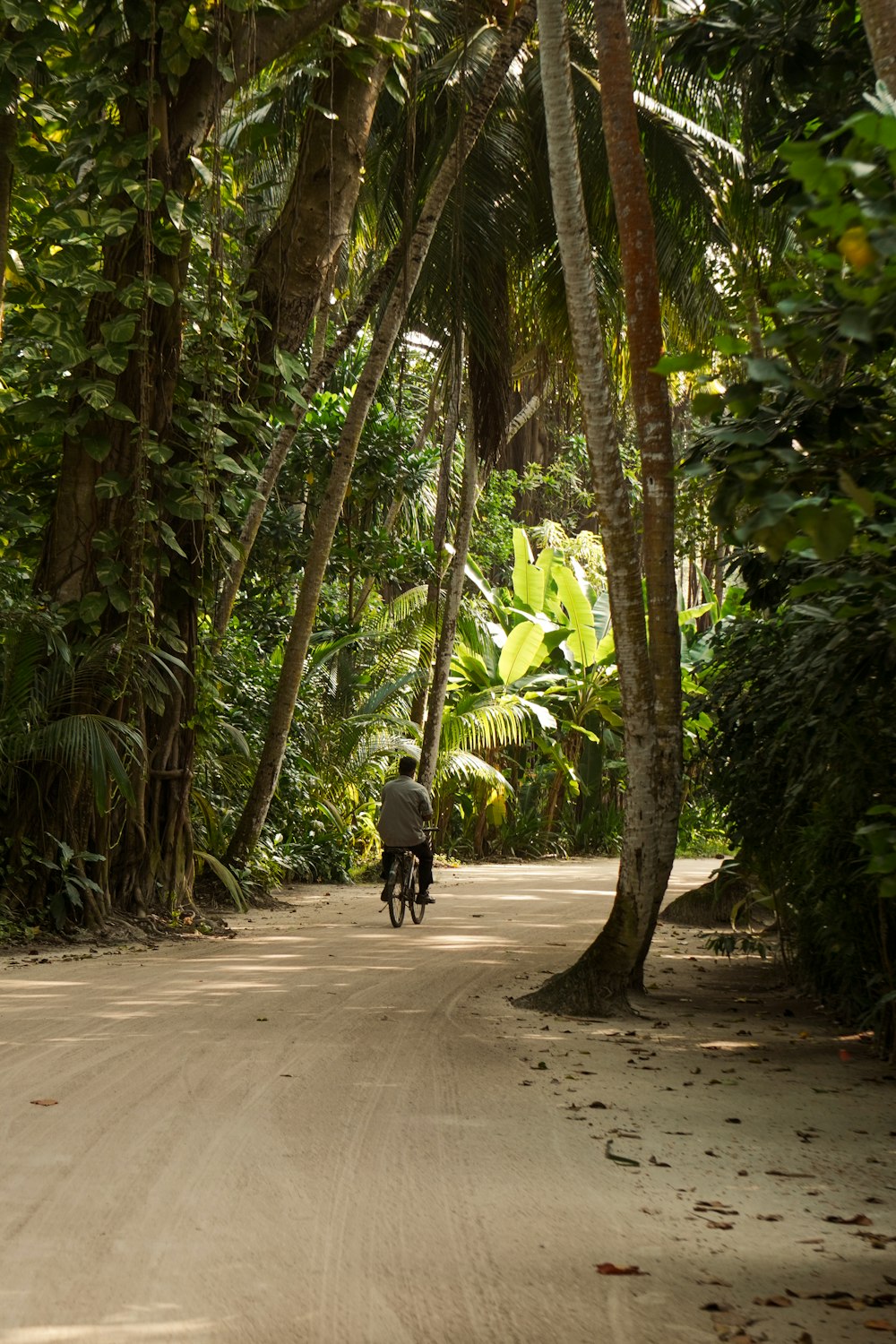 a person riding a bike down a dirt road