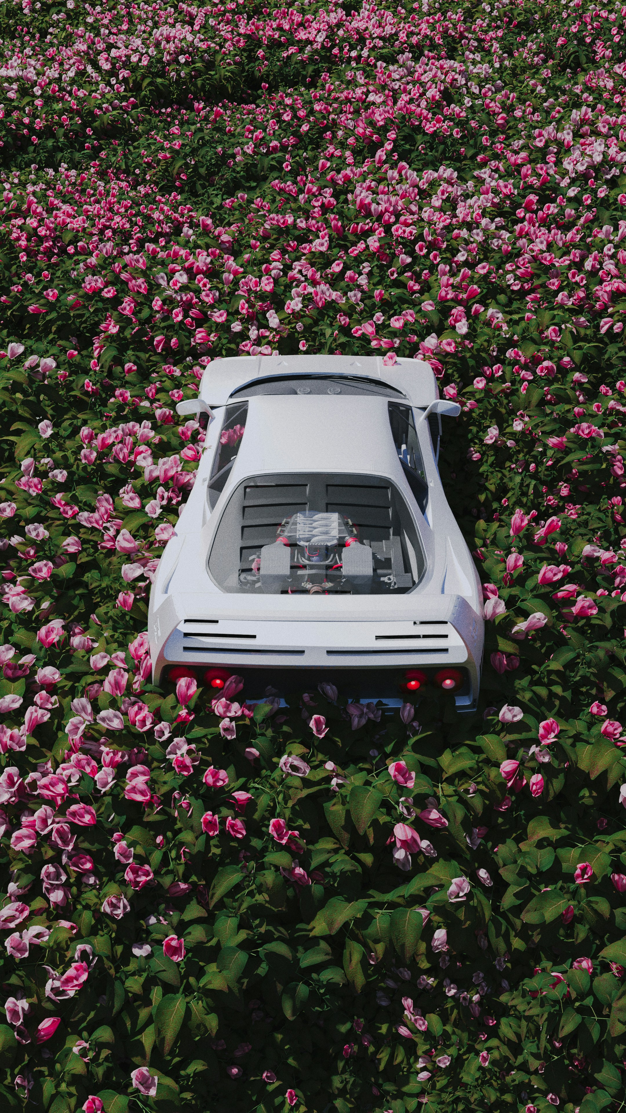 a car is parked in a field of flowers