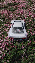 a car is parked in a field of flowers