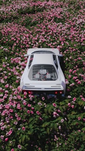 a car is parked in a field of flowers