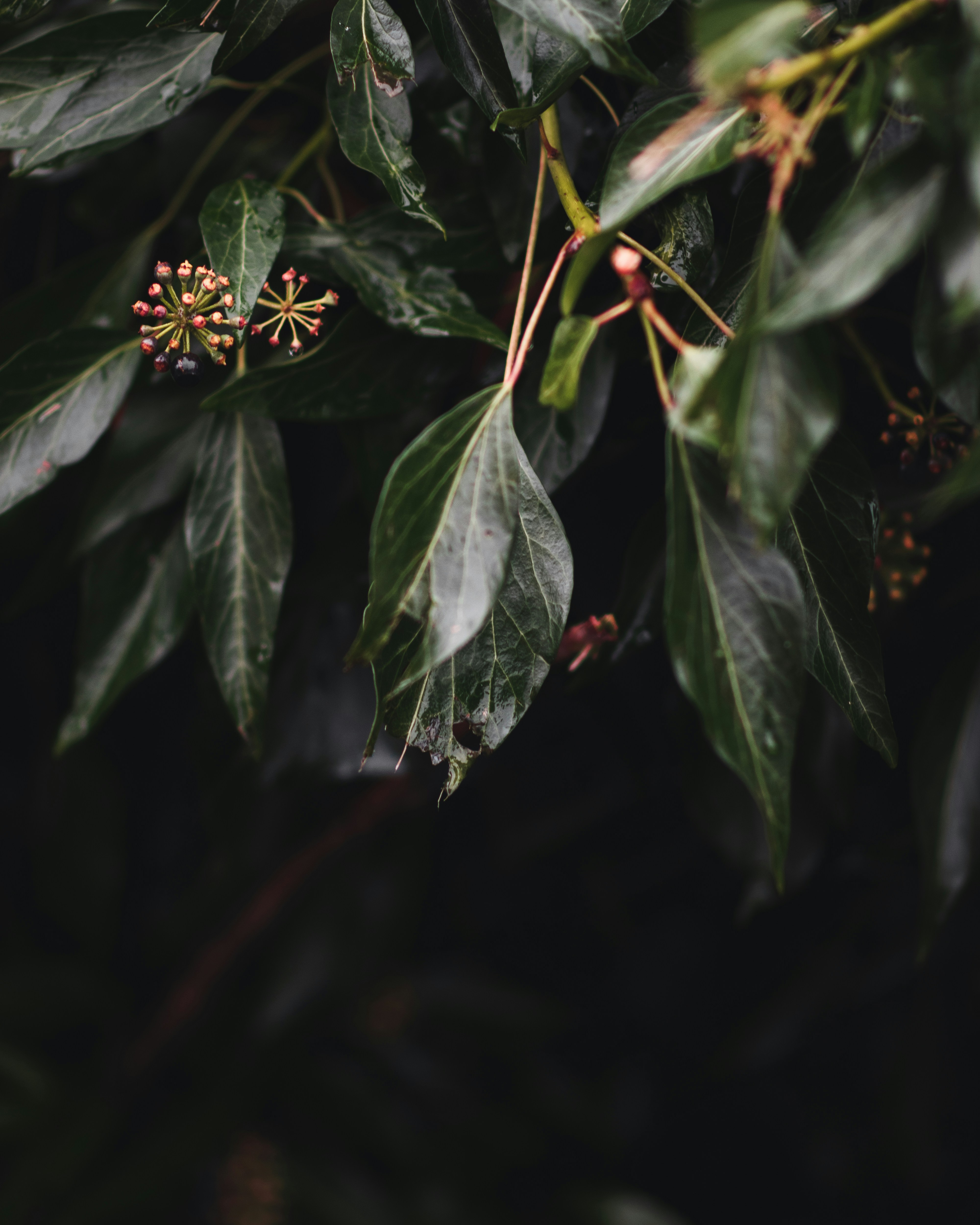 Photo by elliottmason