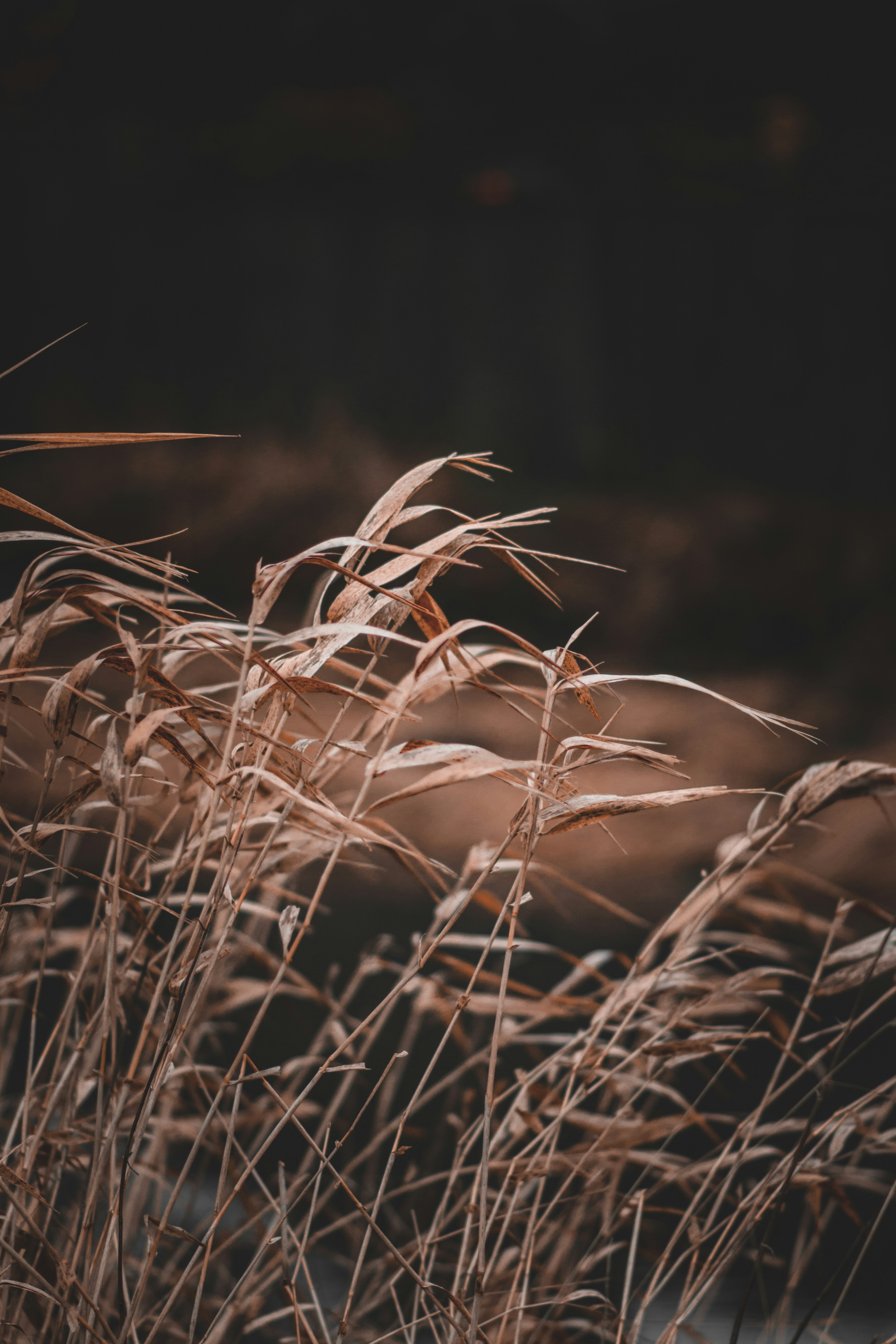 Photo by elliottmason