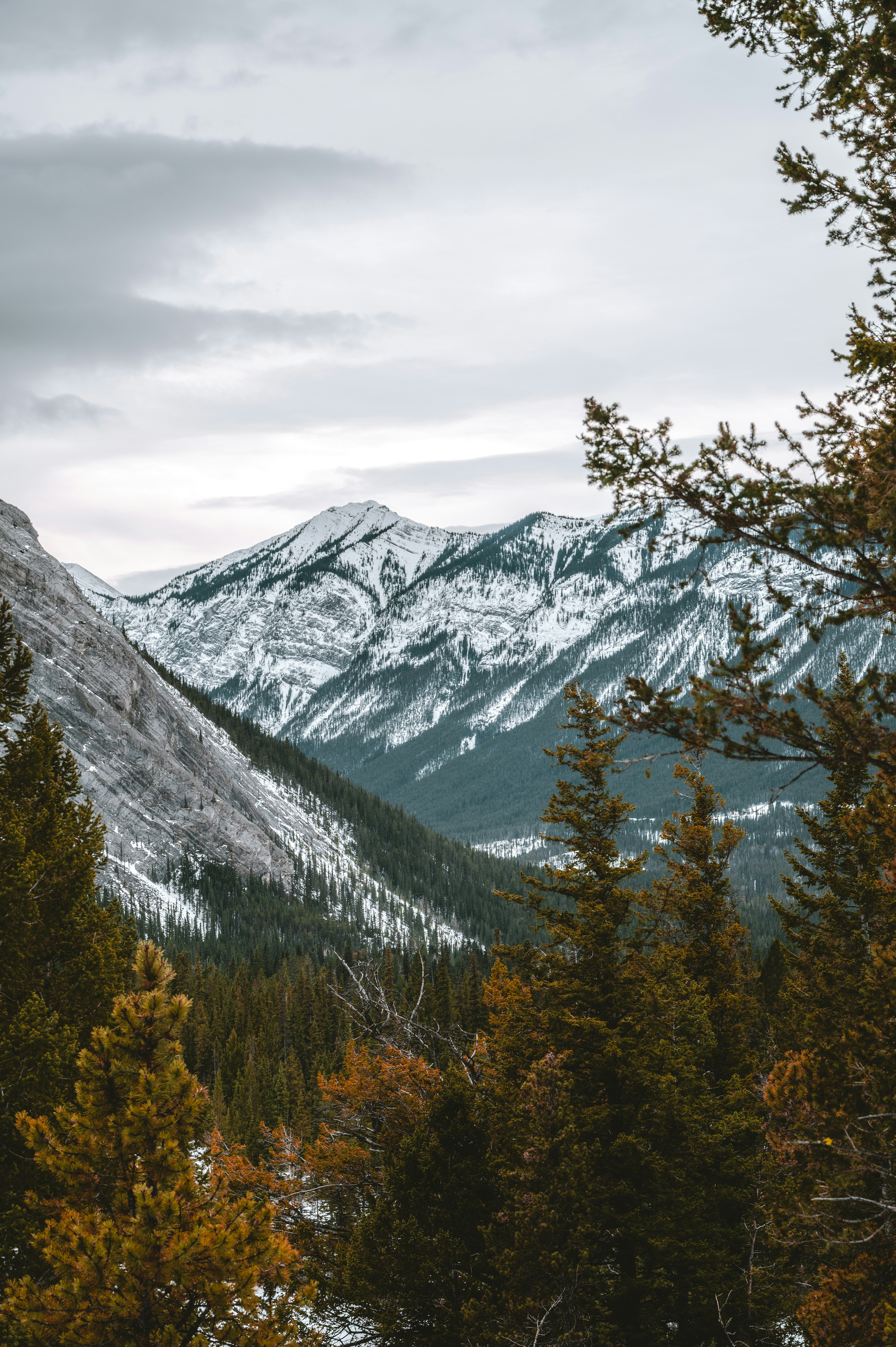 Photo by ryunosuke_kikuno