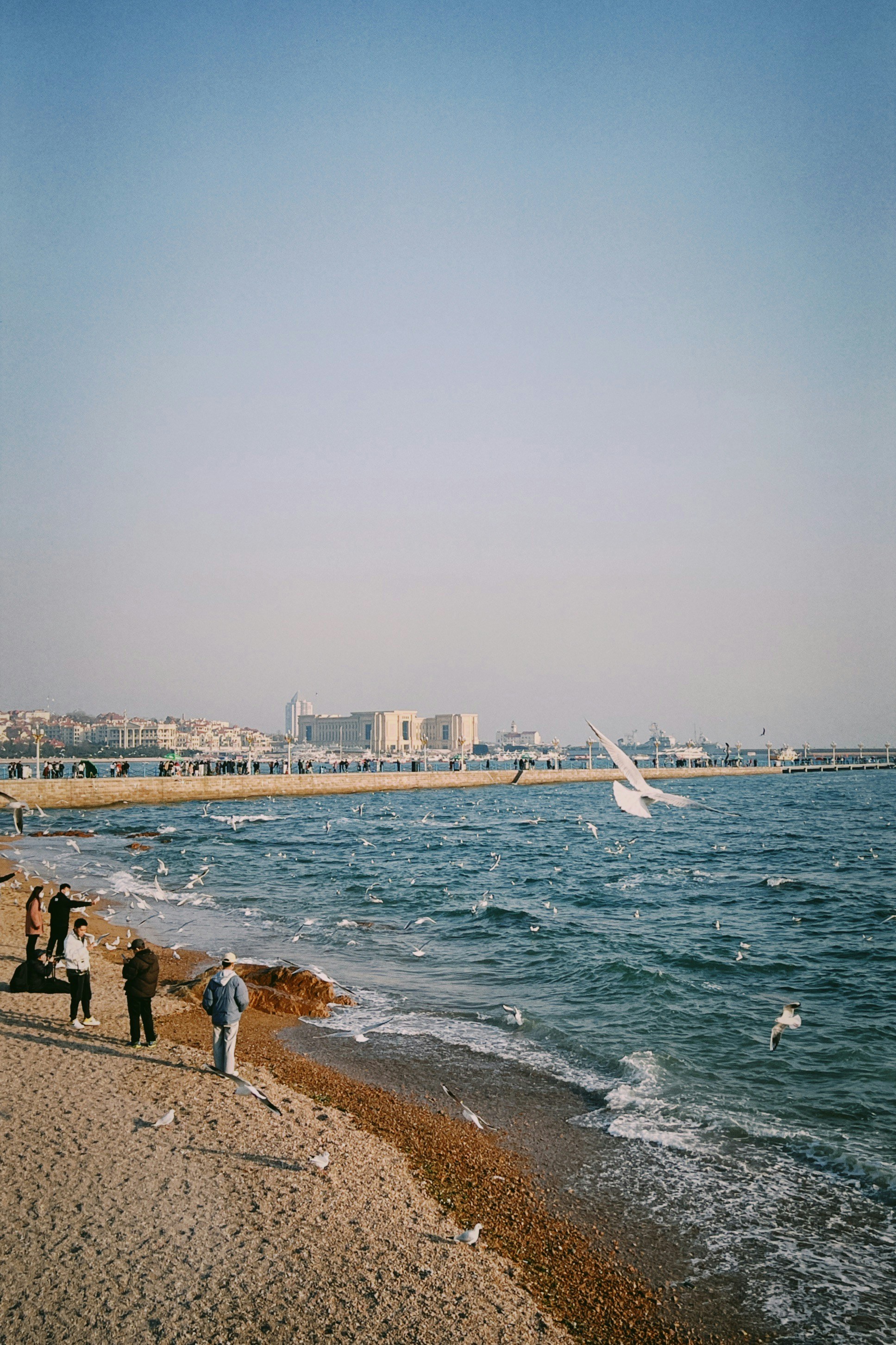 A group of people standing on top of a sandy beach photo – Free Grey ...