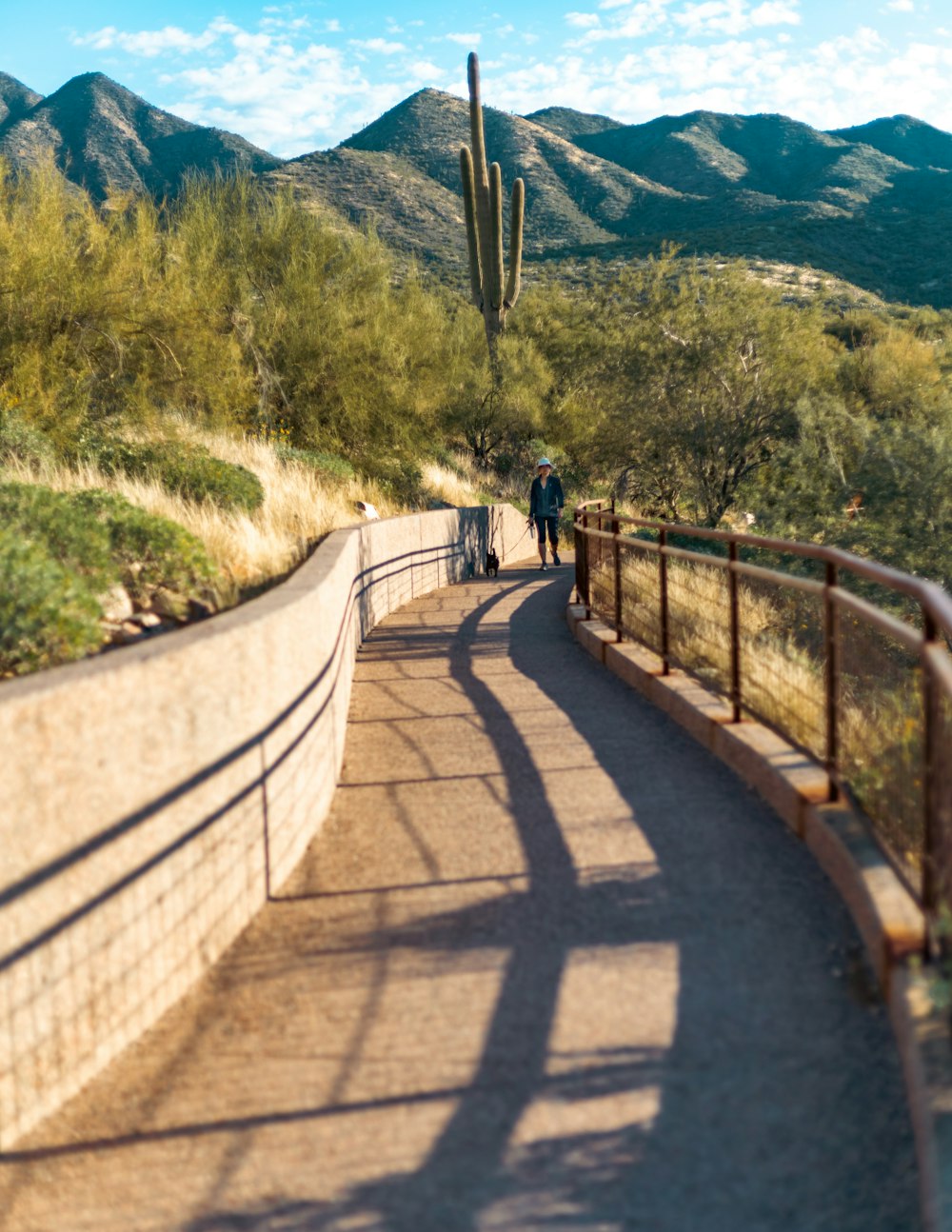 a couple of people walking down a path next to a cactus