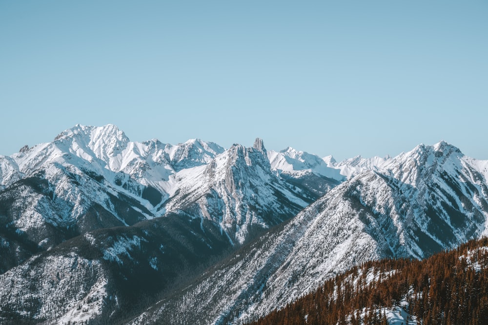 a mountain range covered in snow and pine trees