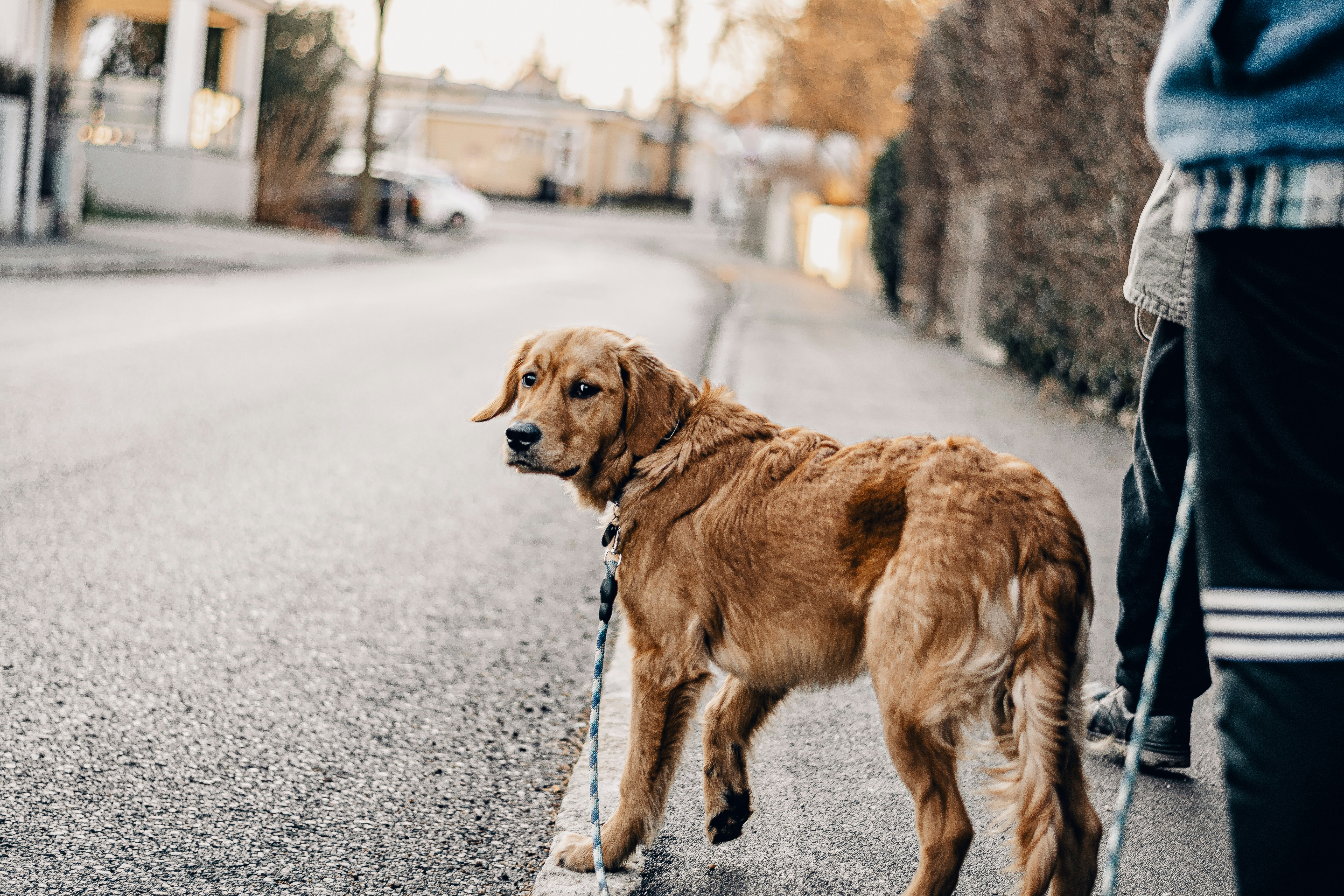 Barometric Sensitivity and Joint Discomfort