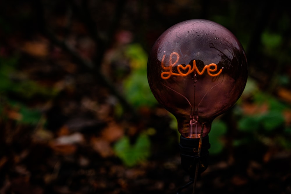 a light bulb with the word love written on it