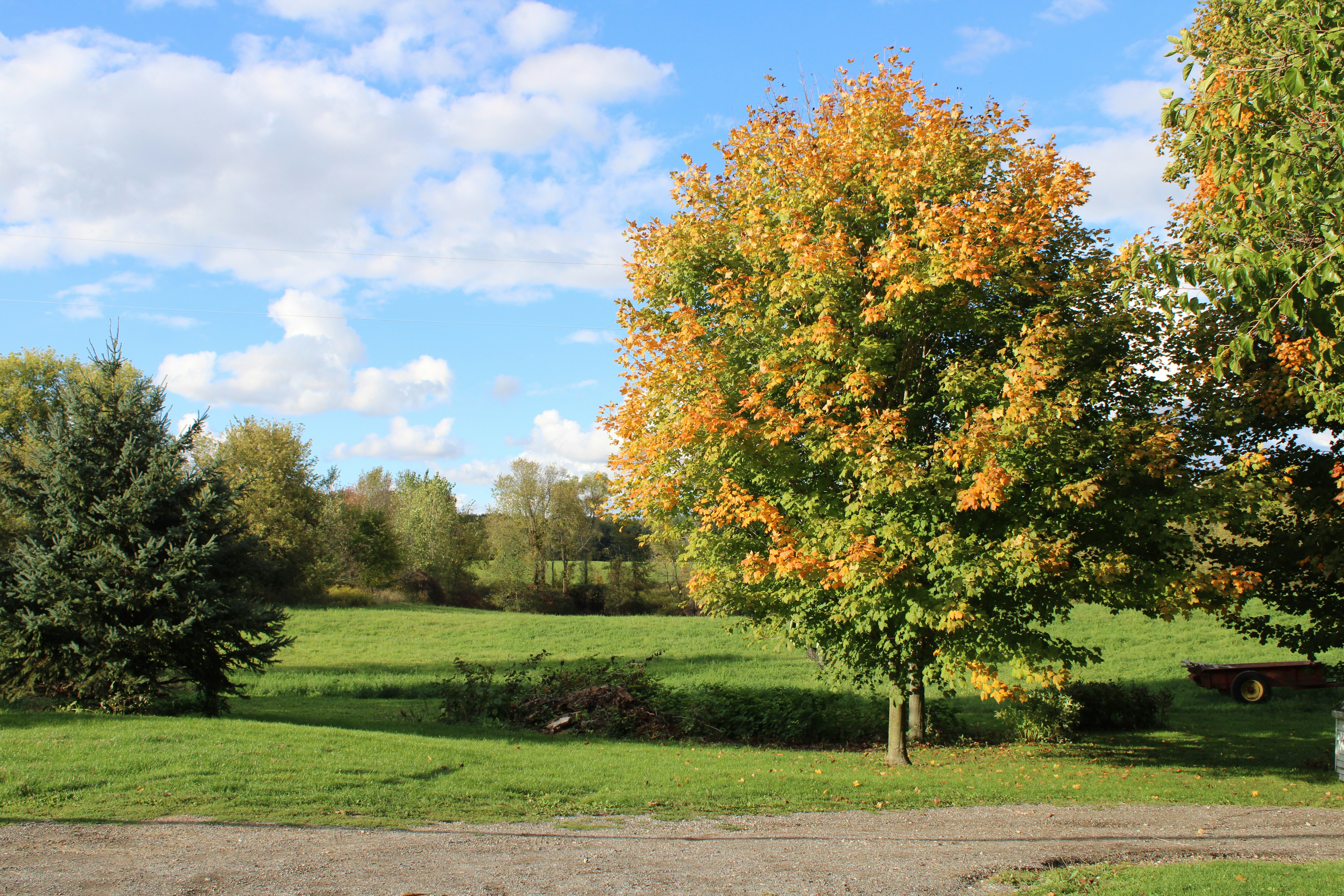 Photo by studerphotography