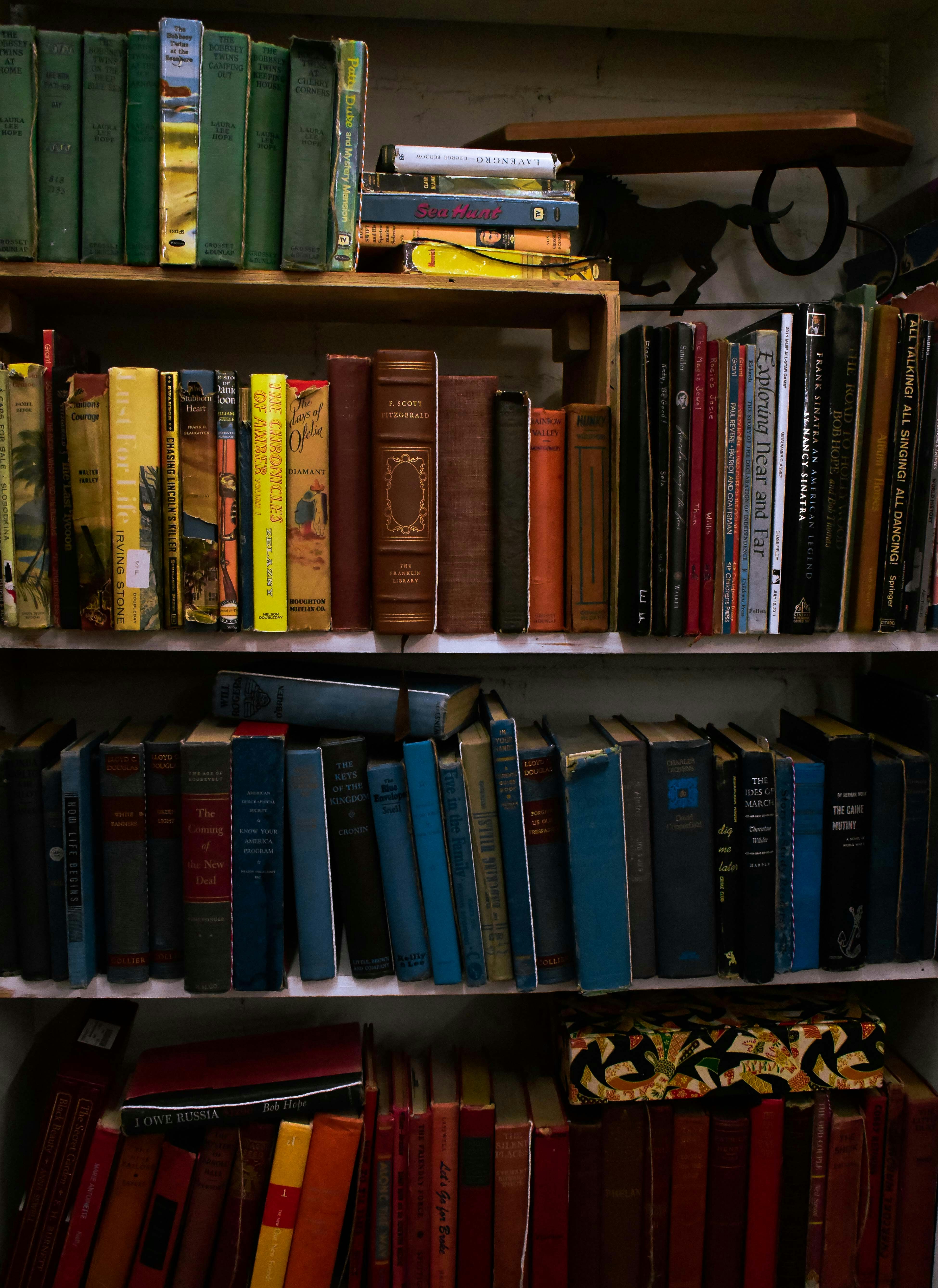 Photo by pictures102