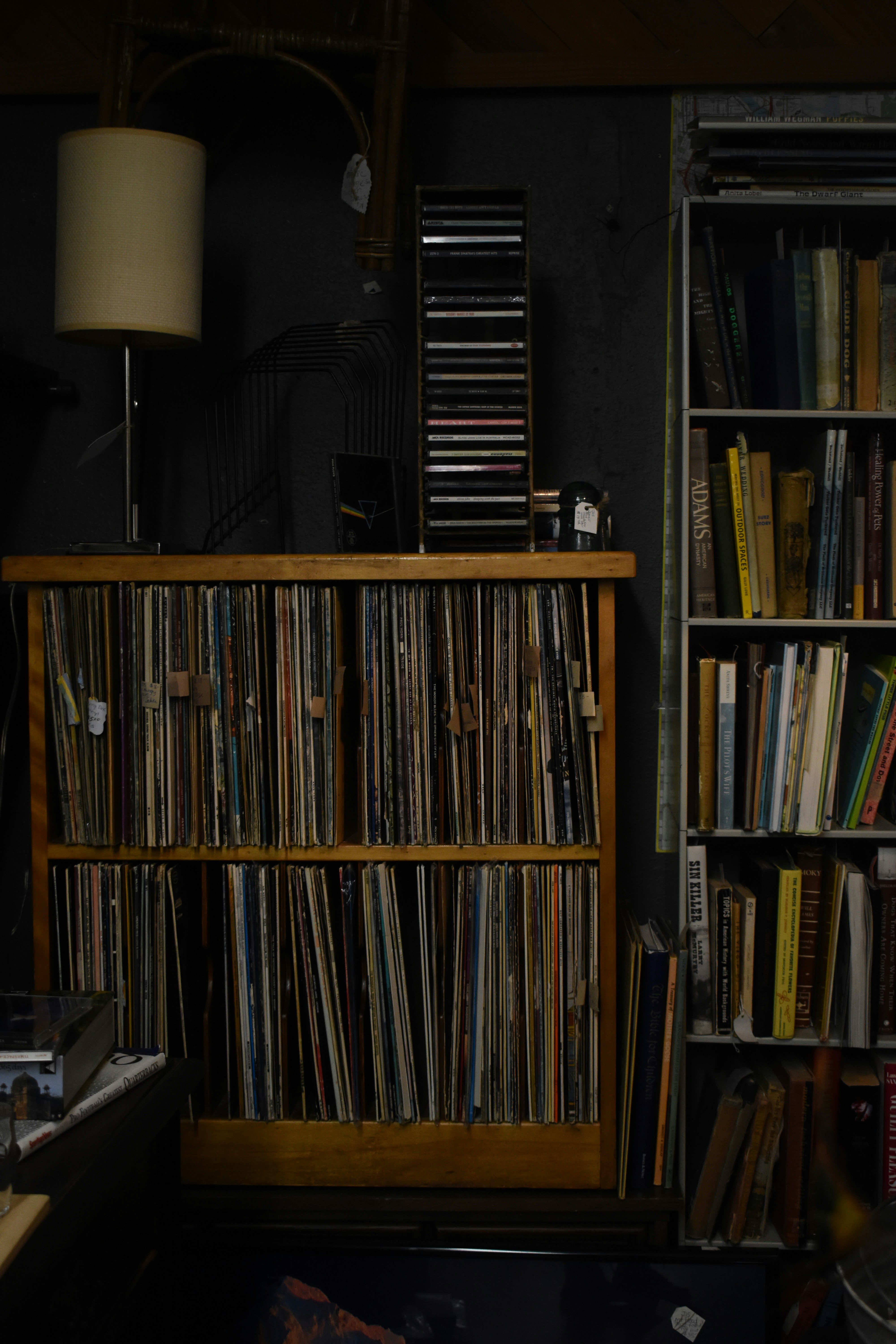 Photo by pictures102