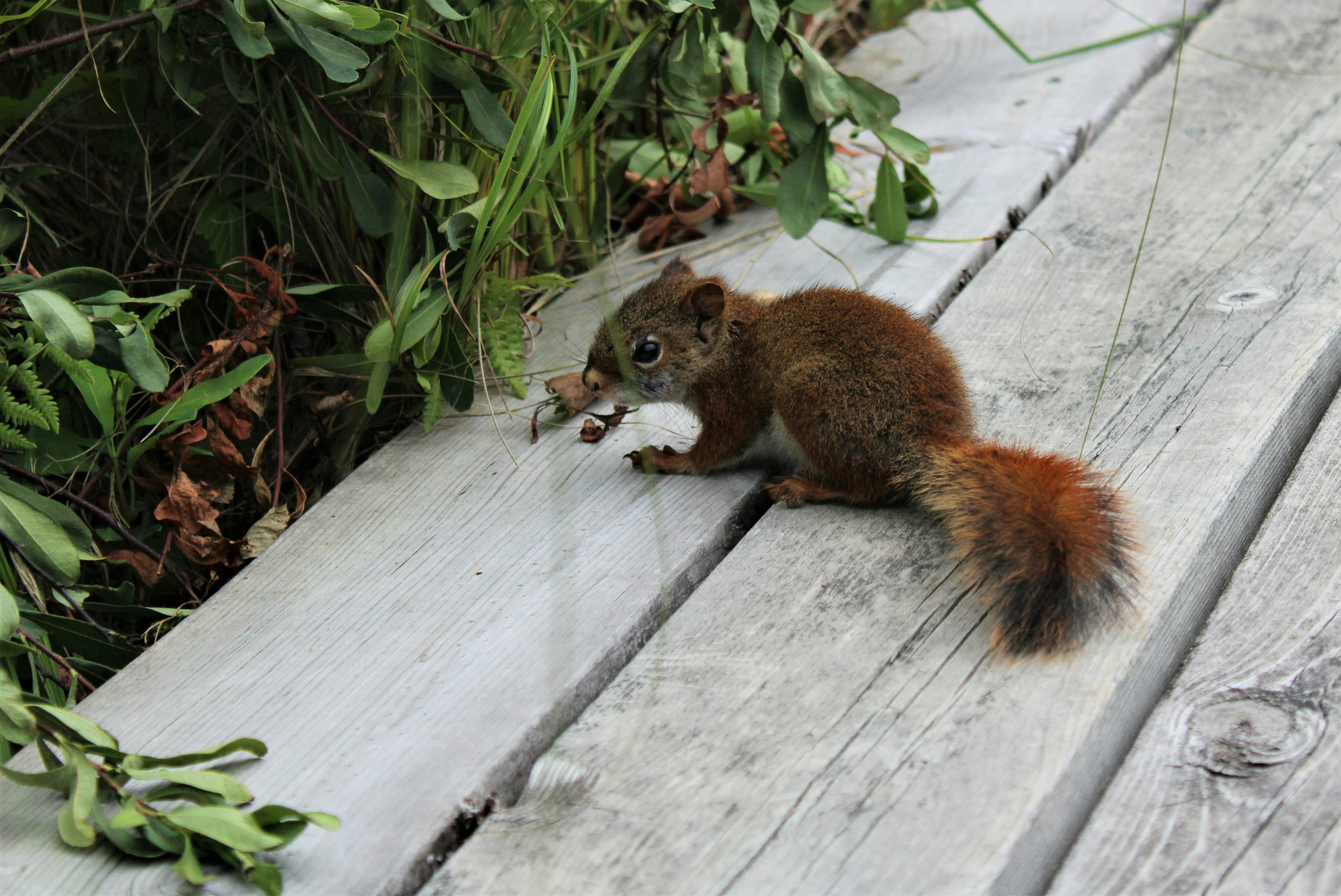 Photo by studerphotography