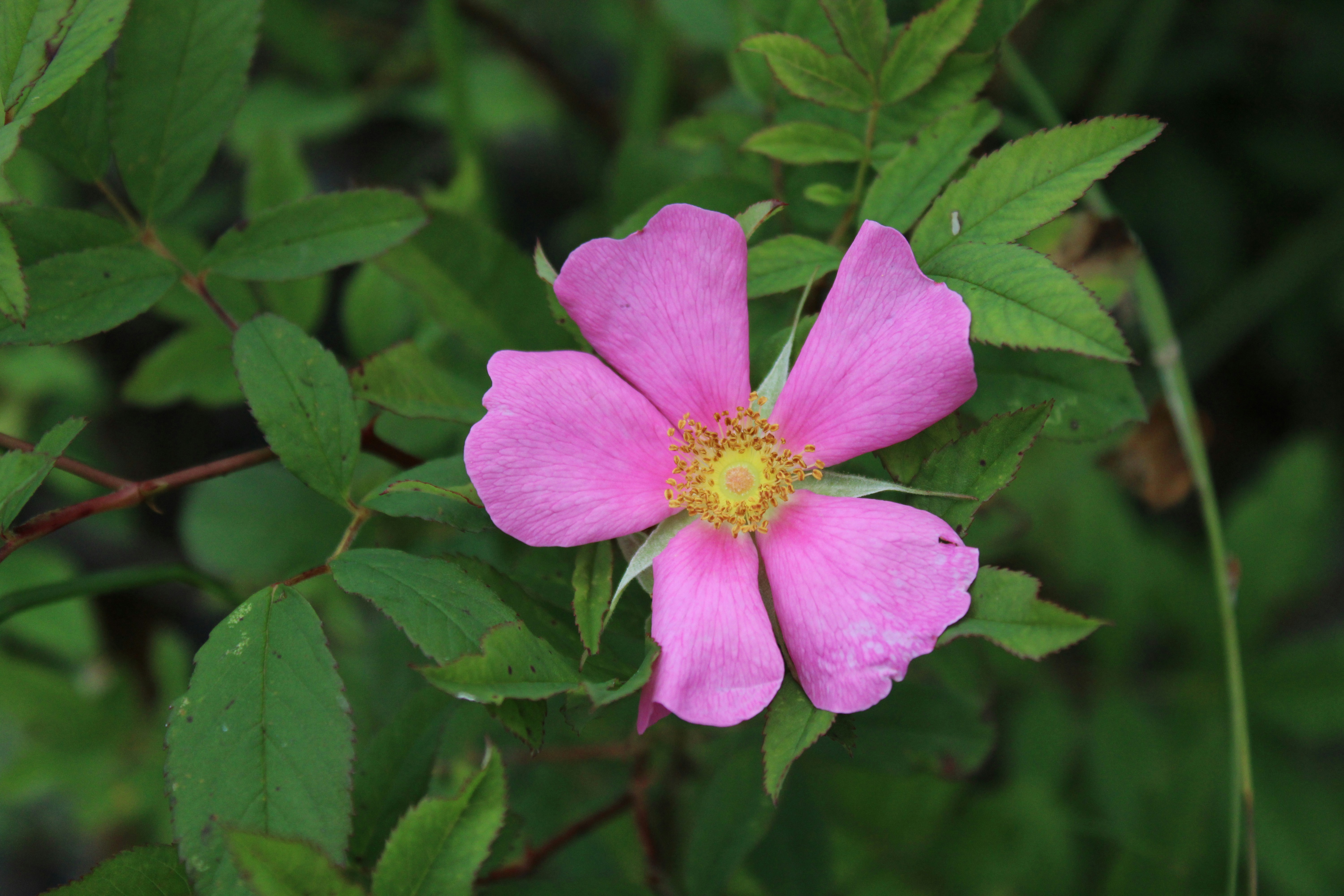 Photo by studerphotography