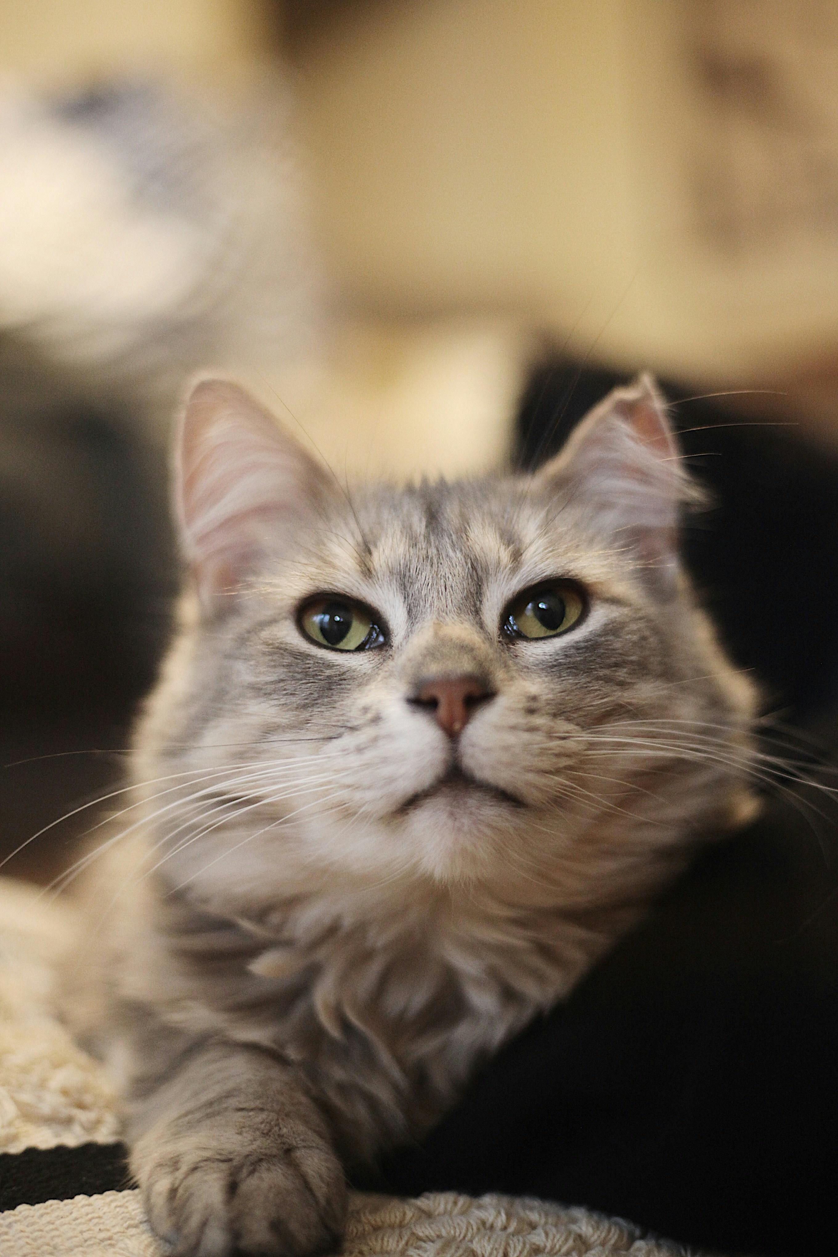 Photo by earthtokarly