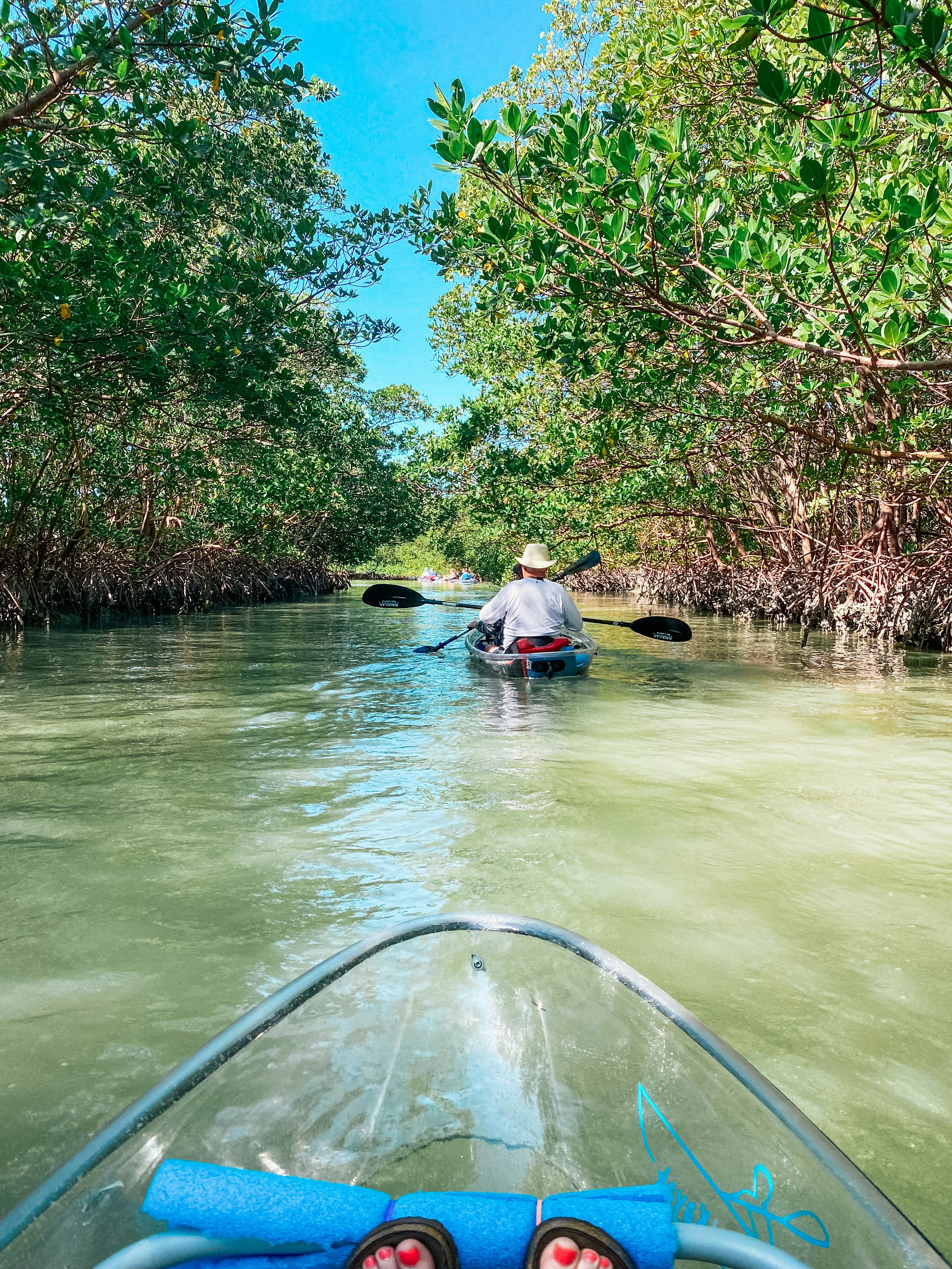 a person in a canoe paddling down a river