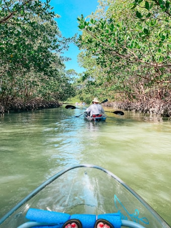 A person kayaks along a tranquil waterway surrounded by lush green mangroves on both sides. The view is from another kayak, with feet visible at the bottom of the image.