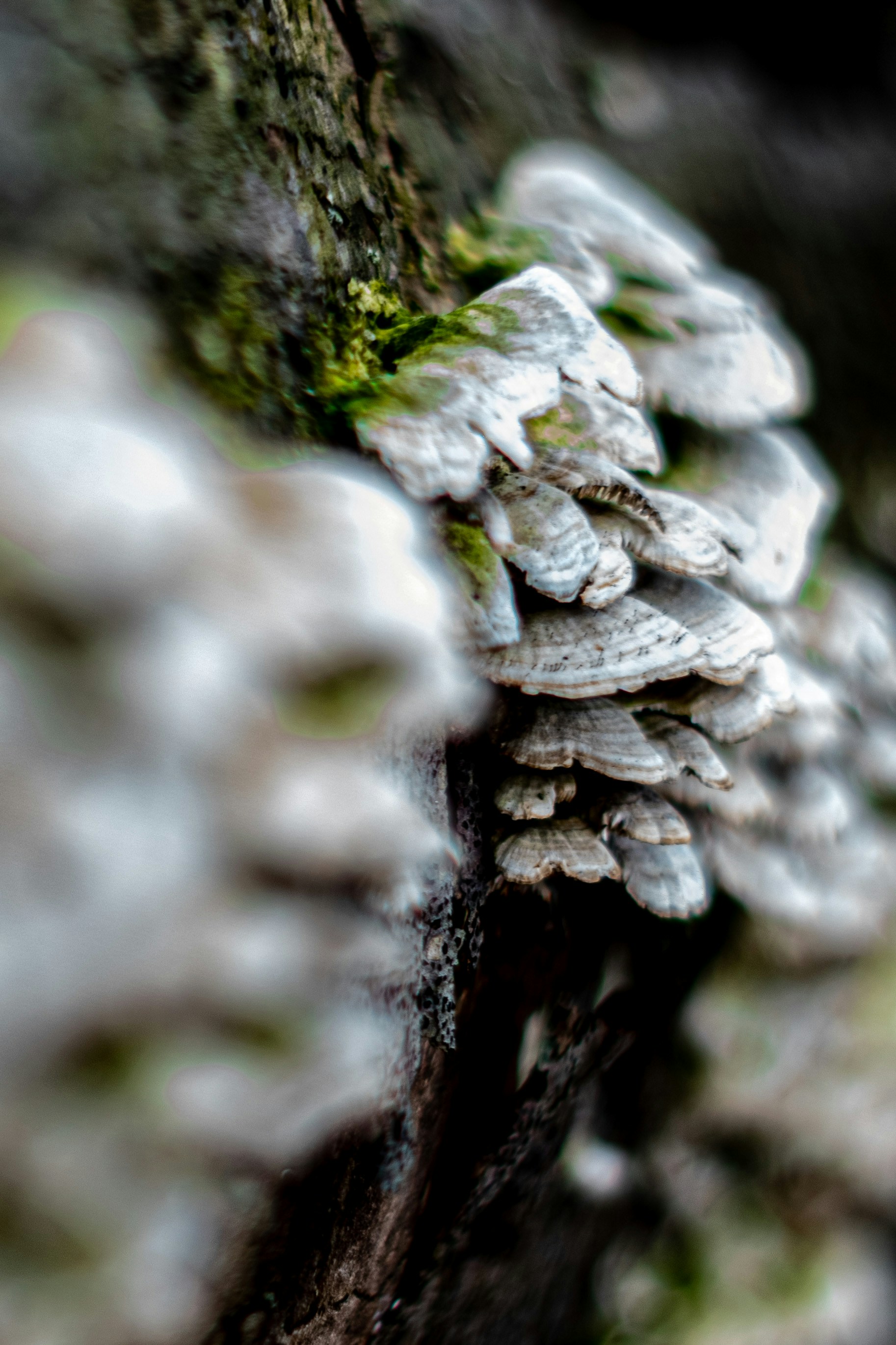 Photo by mharrisonphotography