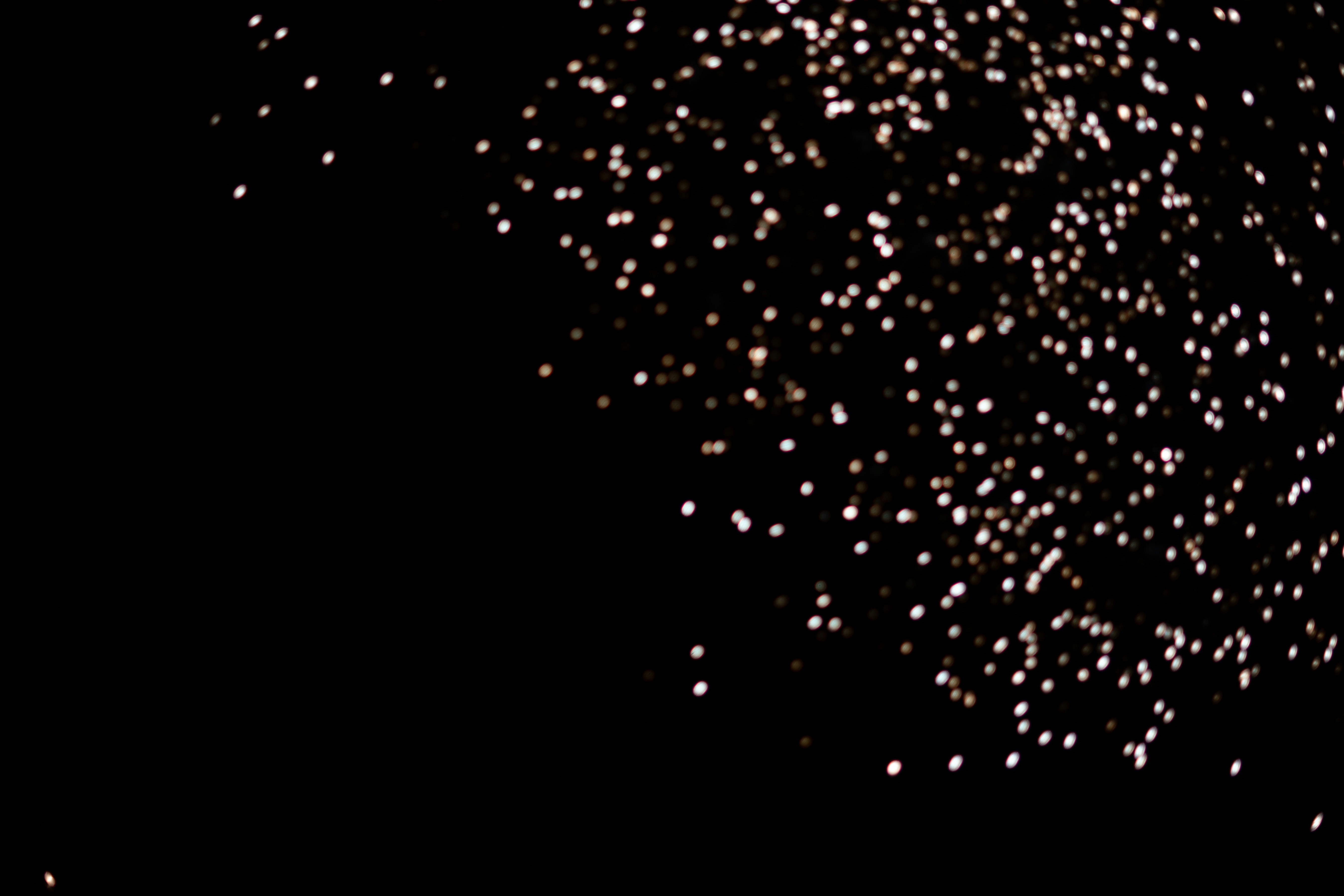 Photo by mharrisonphotography