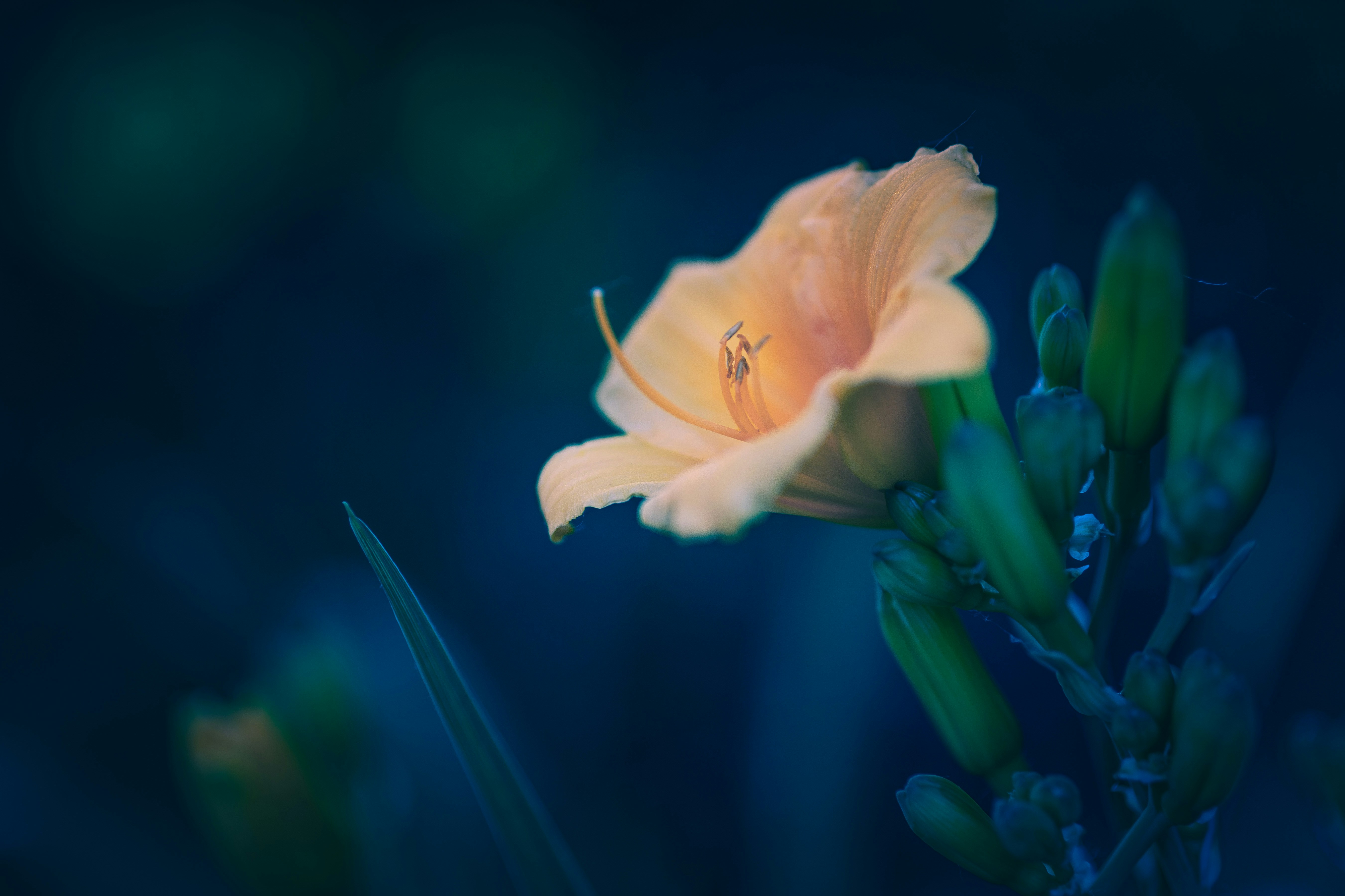 Photo by mharrisonphotography