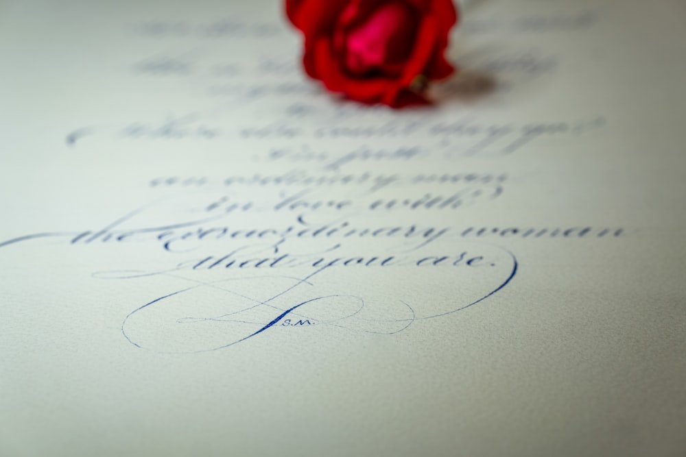 a red rose sitting on top of a piece of paper