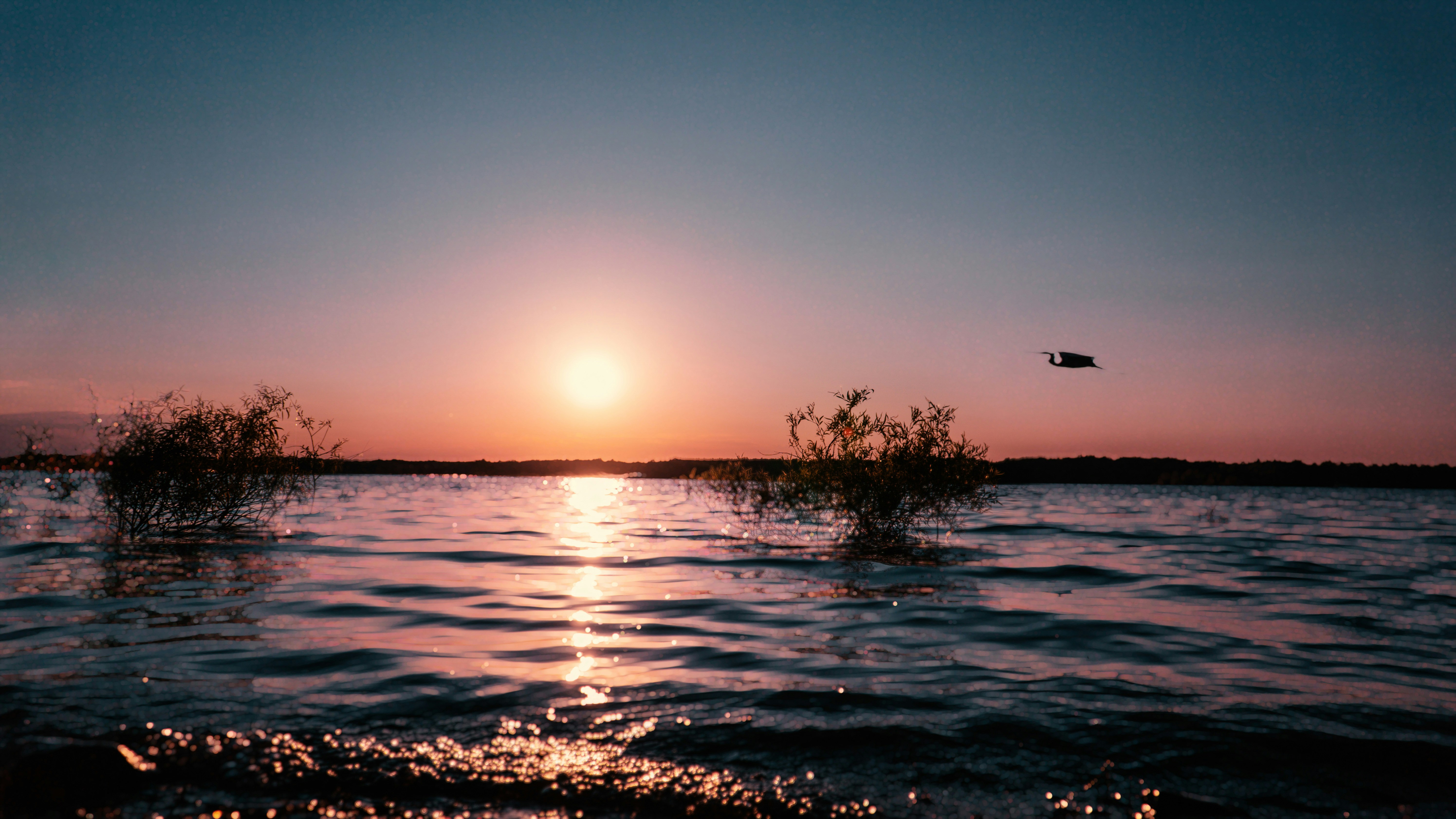 Photo by mharrisonphotography