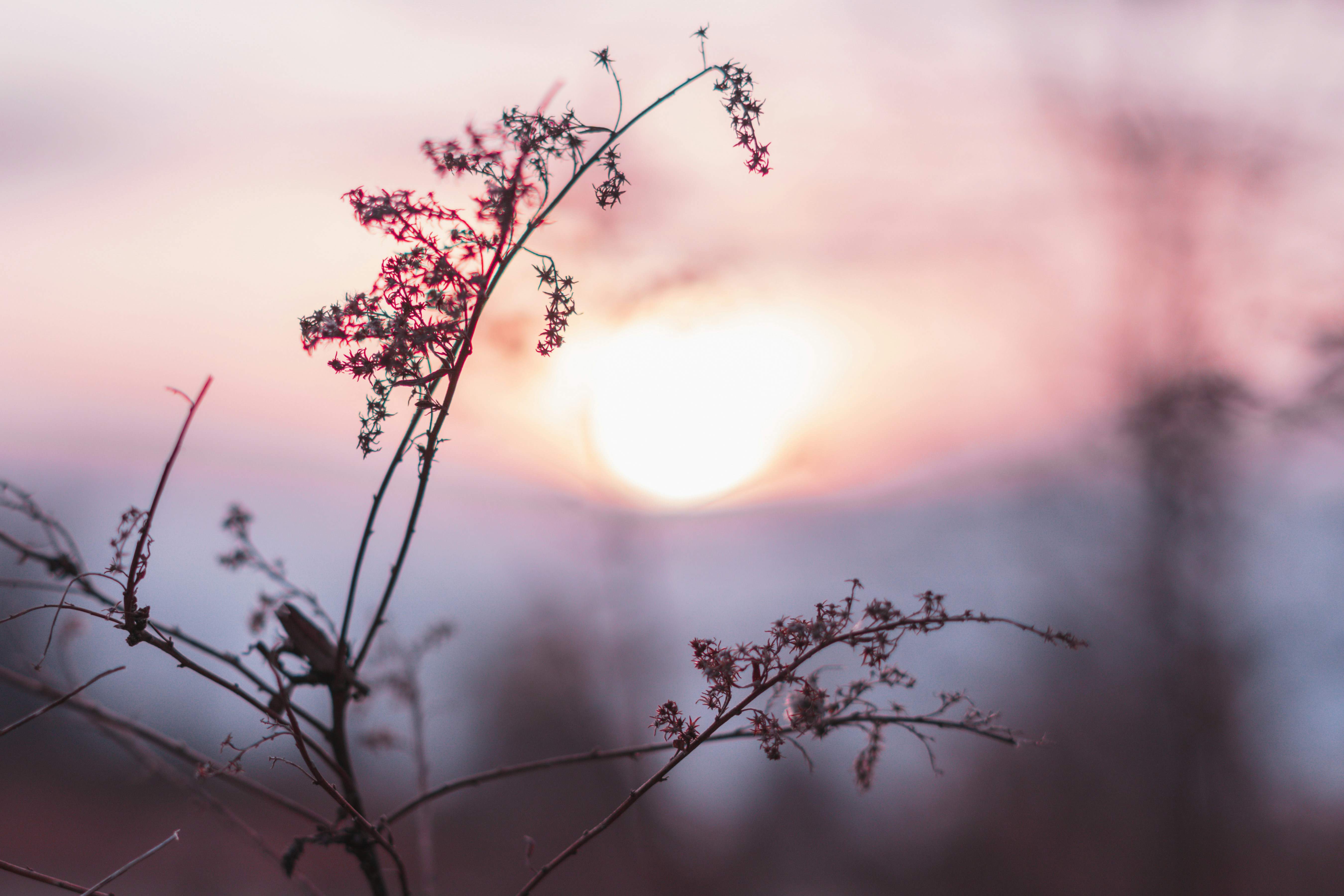 Photo by mharrisonphotography