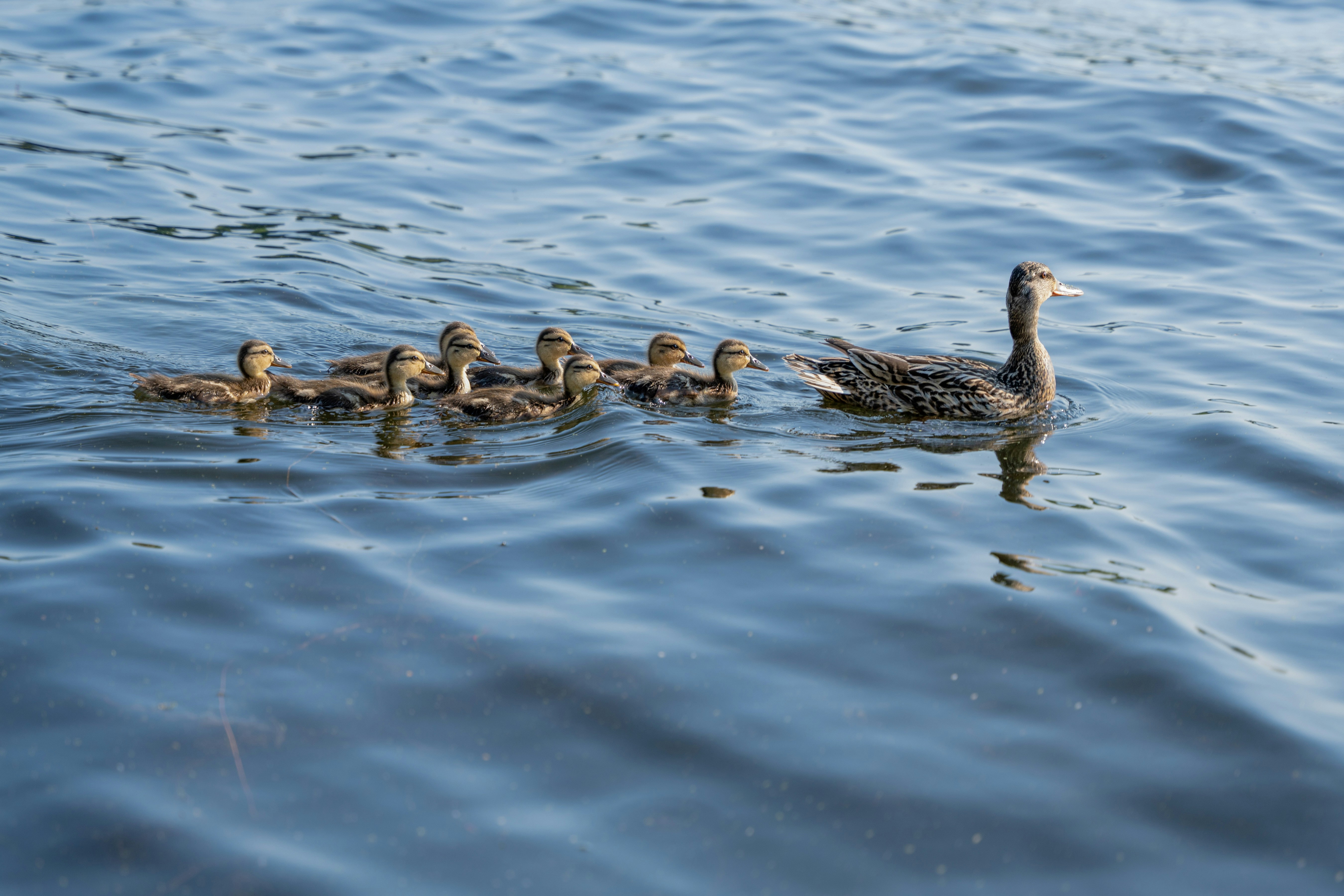 Photo by mharrisonphotography