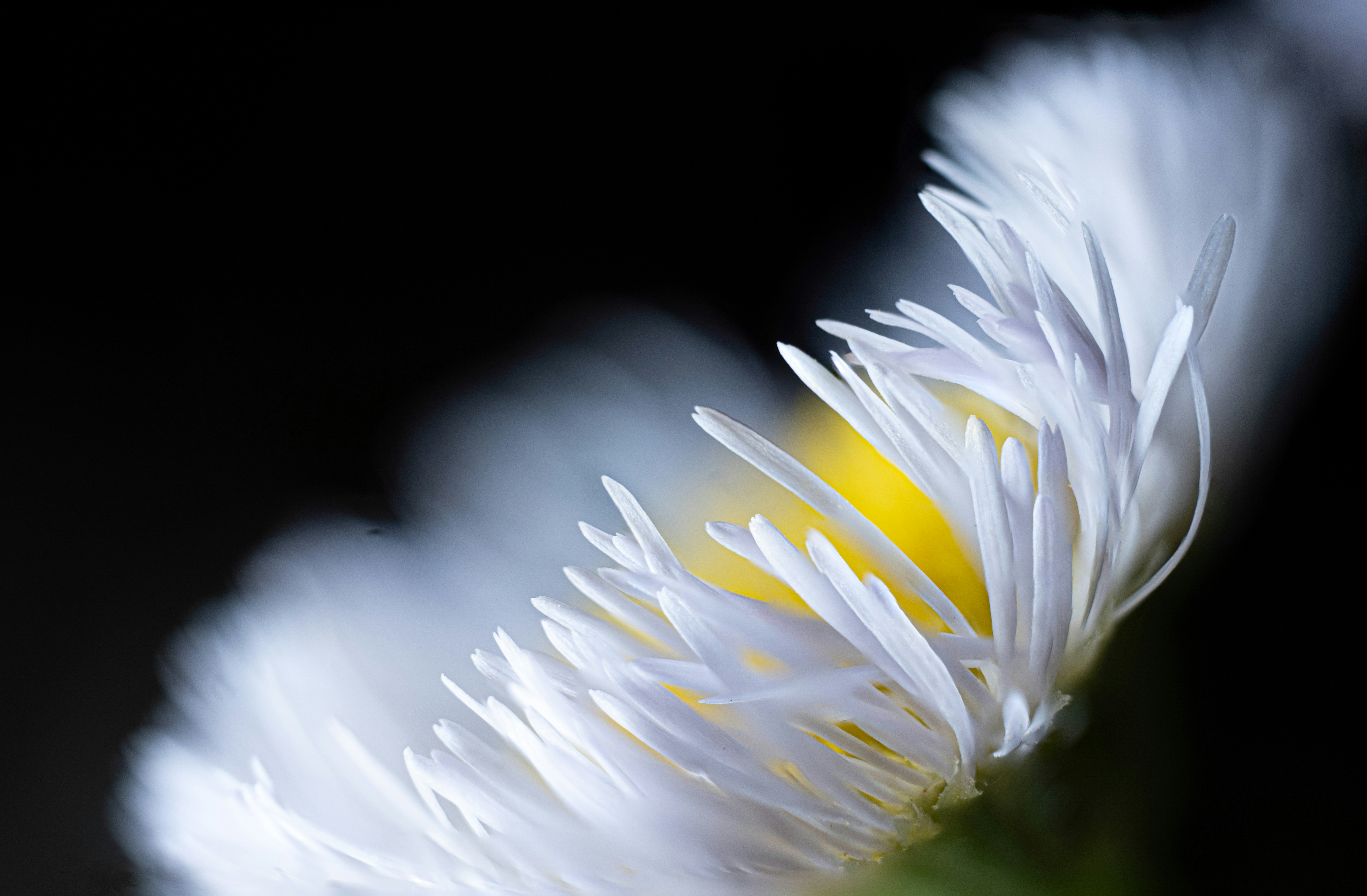 Photo by mharrisonphotography