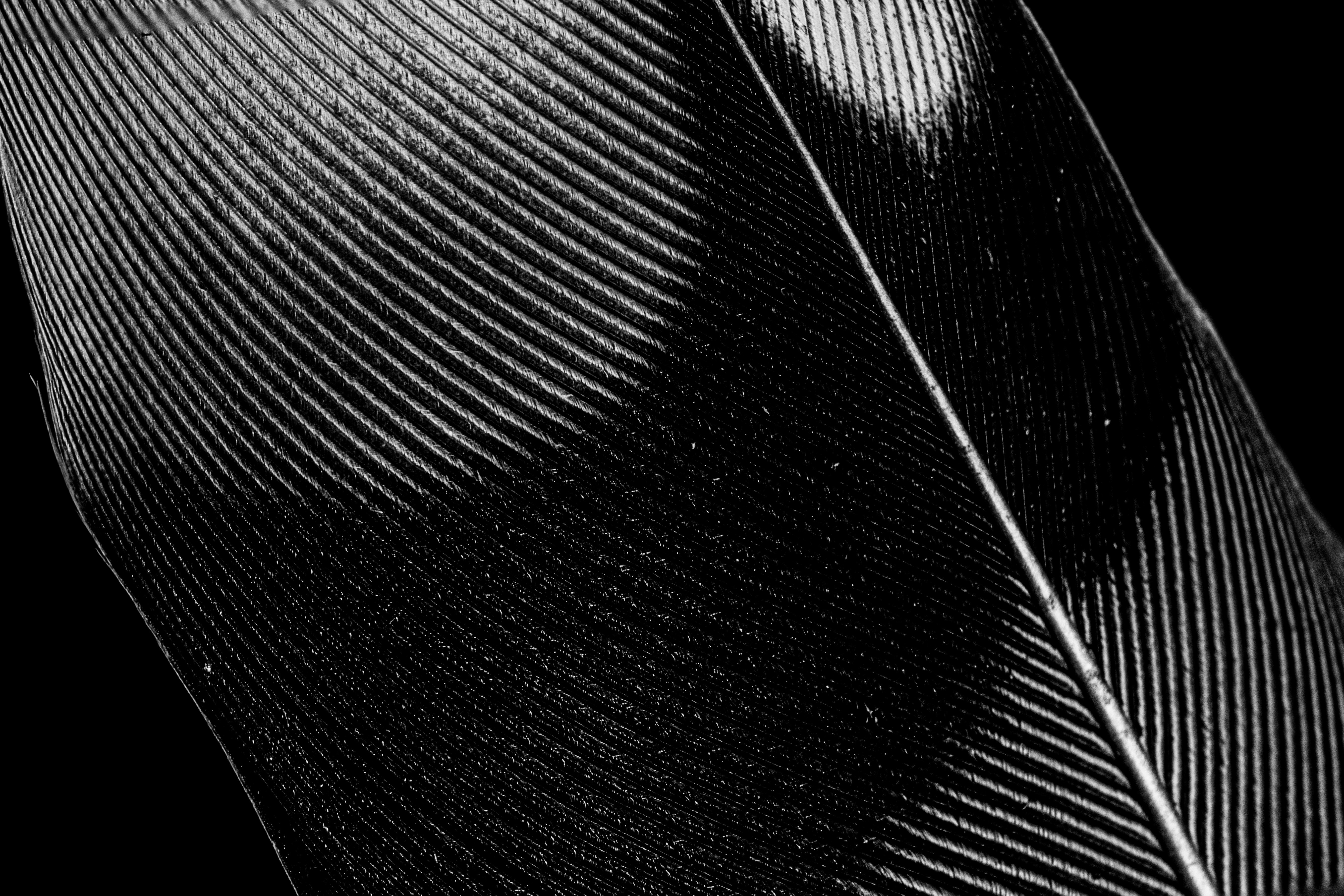 Photo by mharrisonphotography