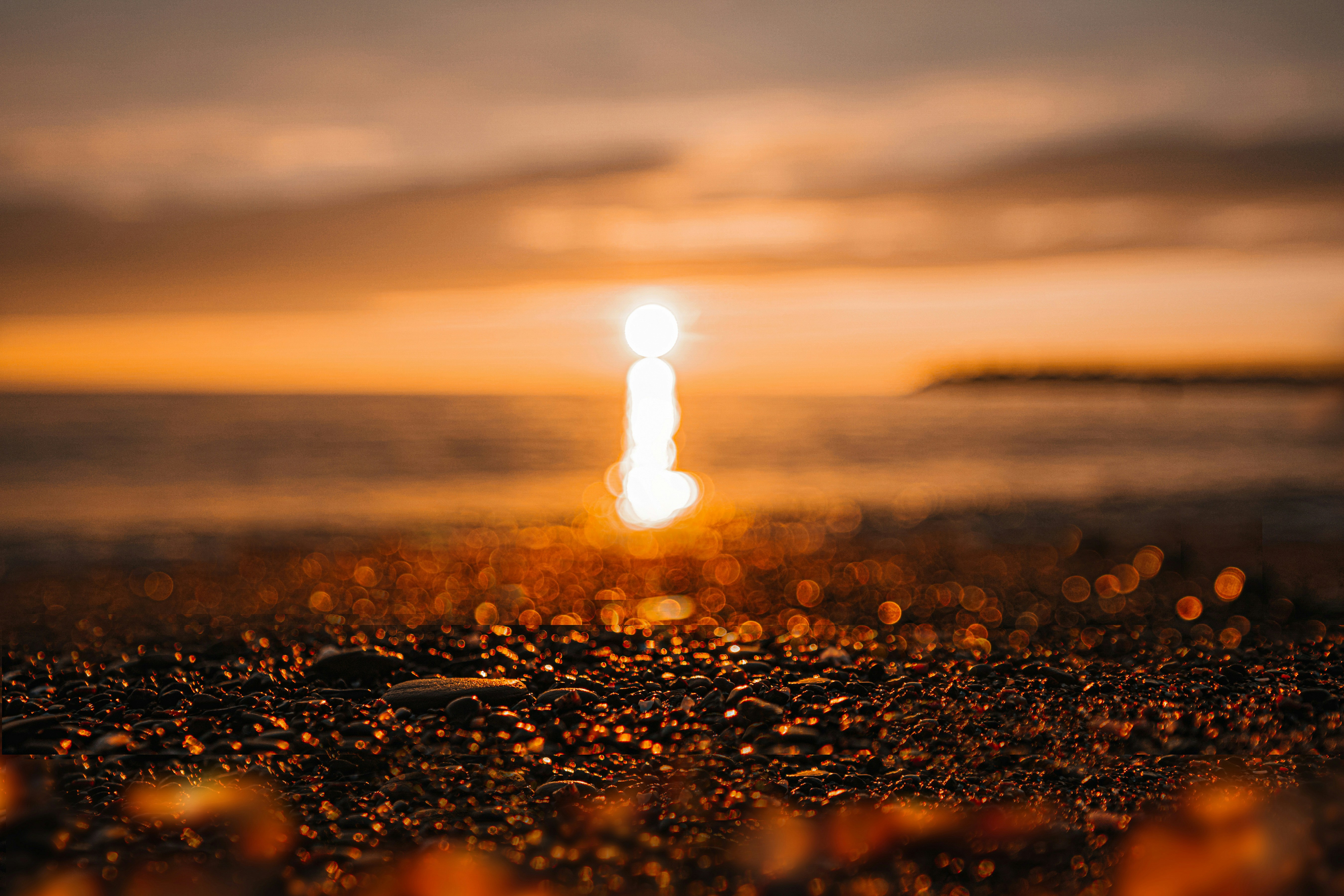 Photo by mharrisonphotography