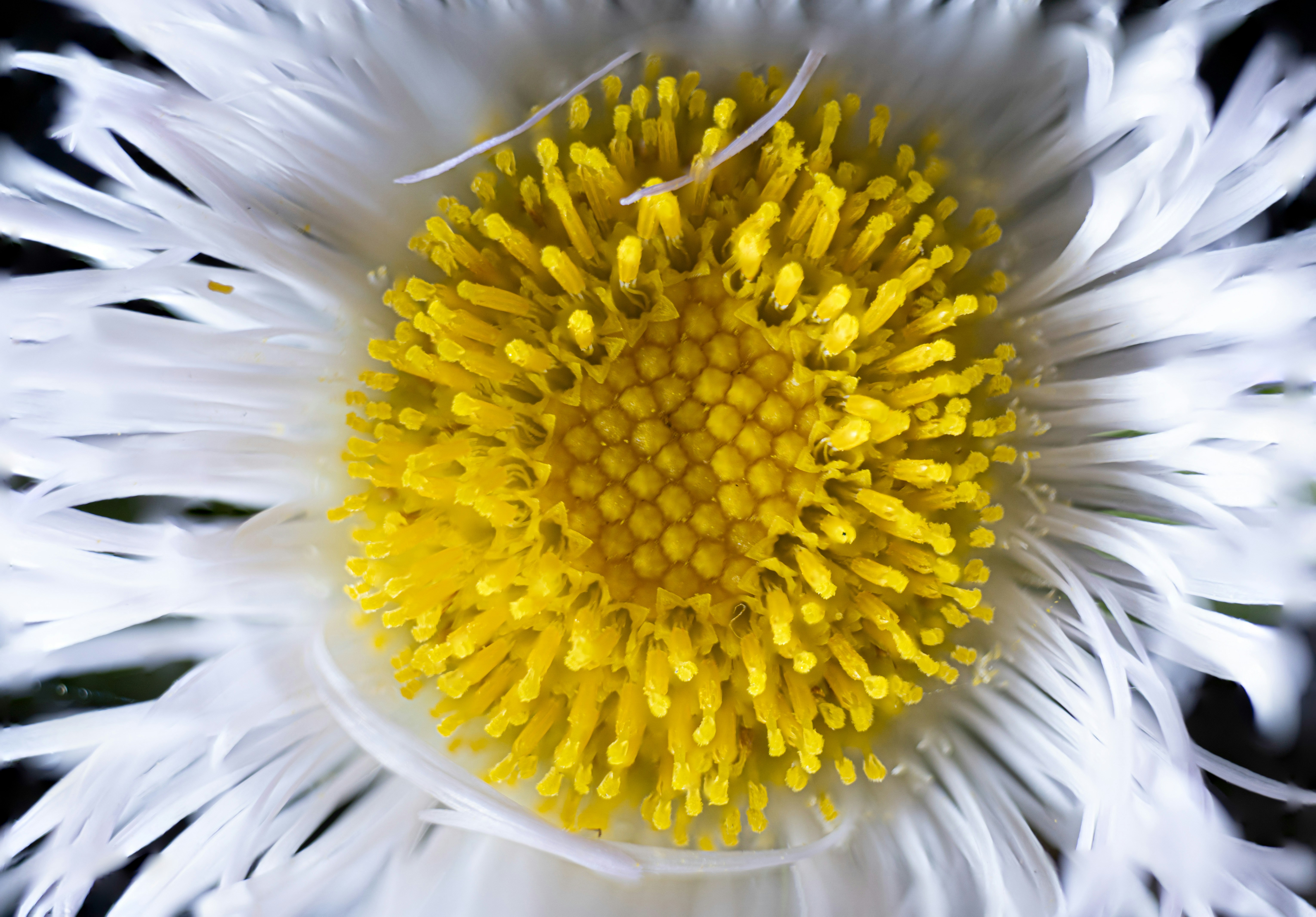 Photo by mharrisonphotography