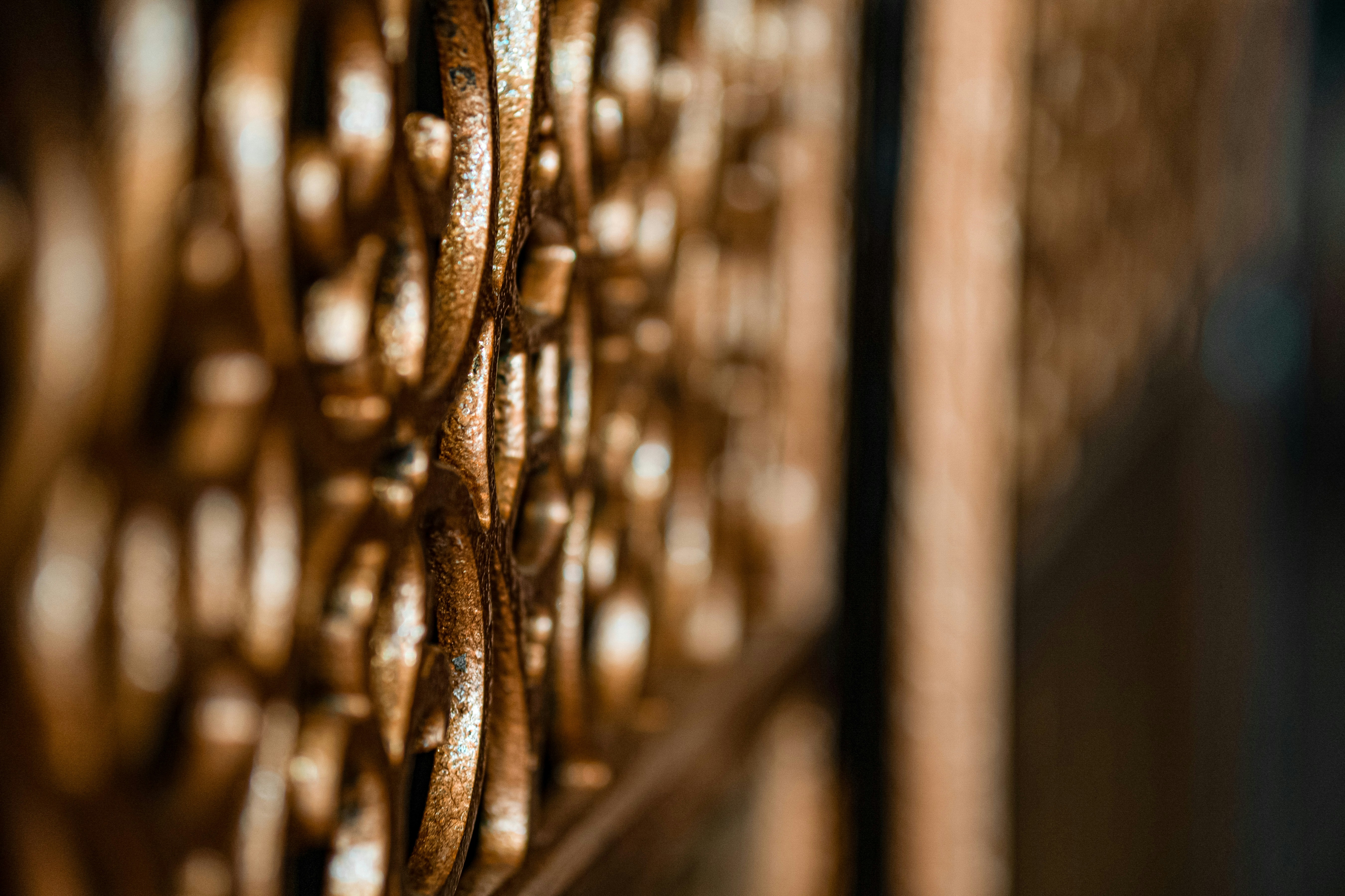 Photo by mharrisonphotography