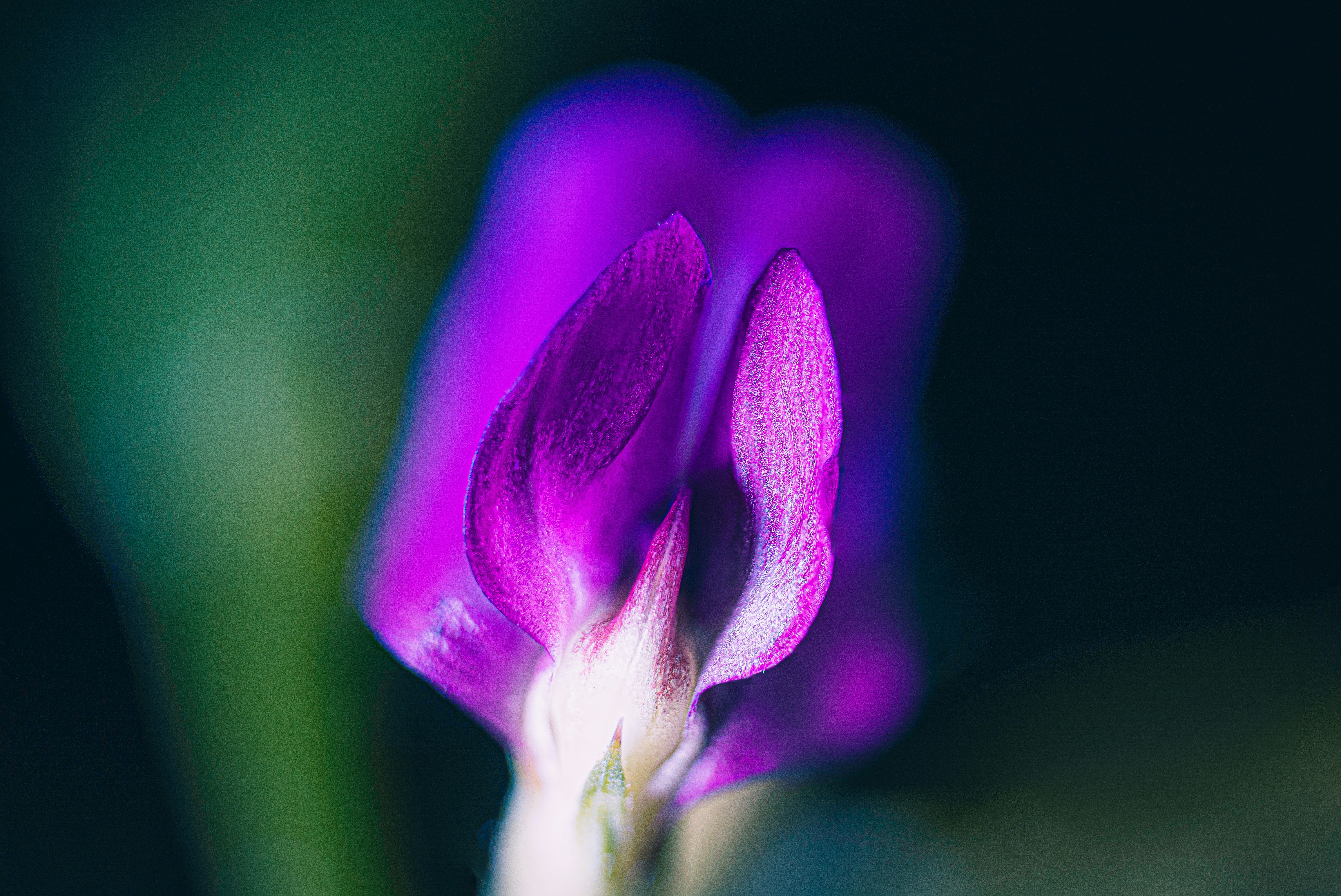 Photo by mharrisonphotography