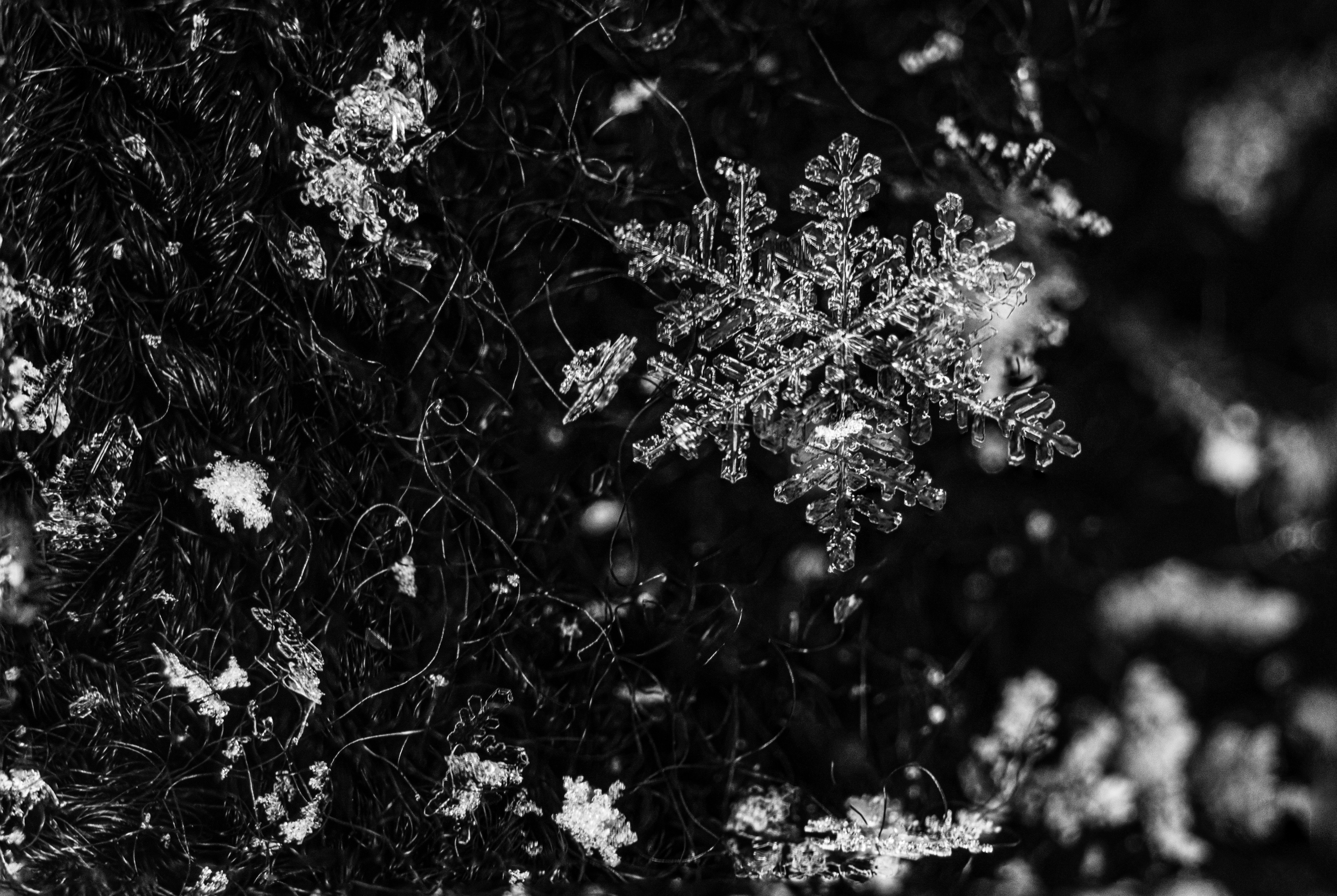 Photo by mharrisonphotography