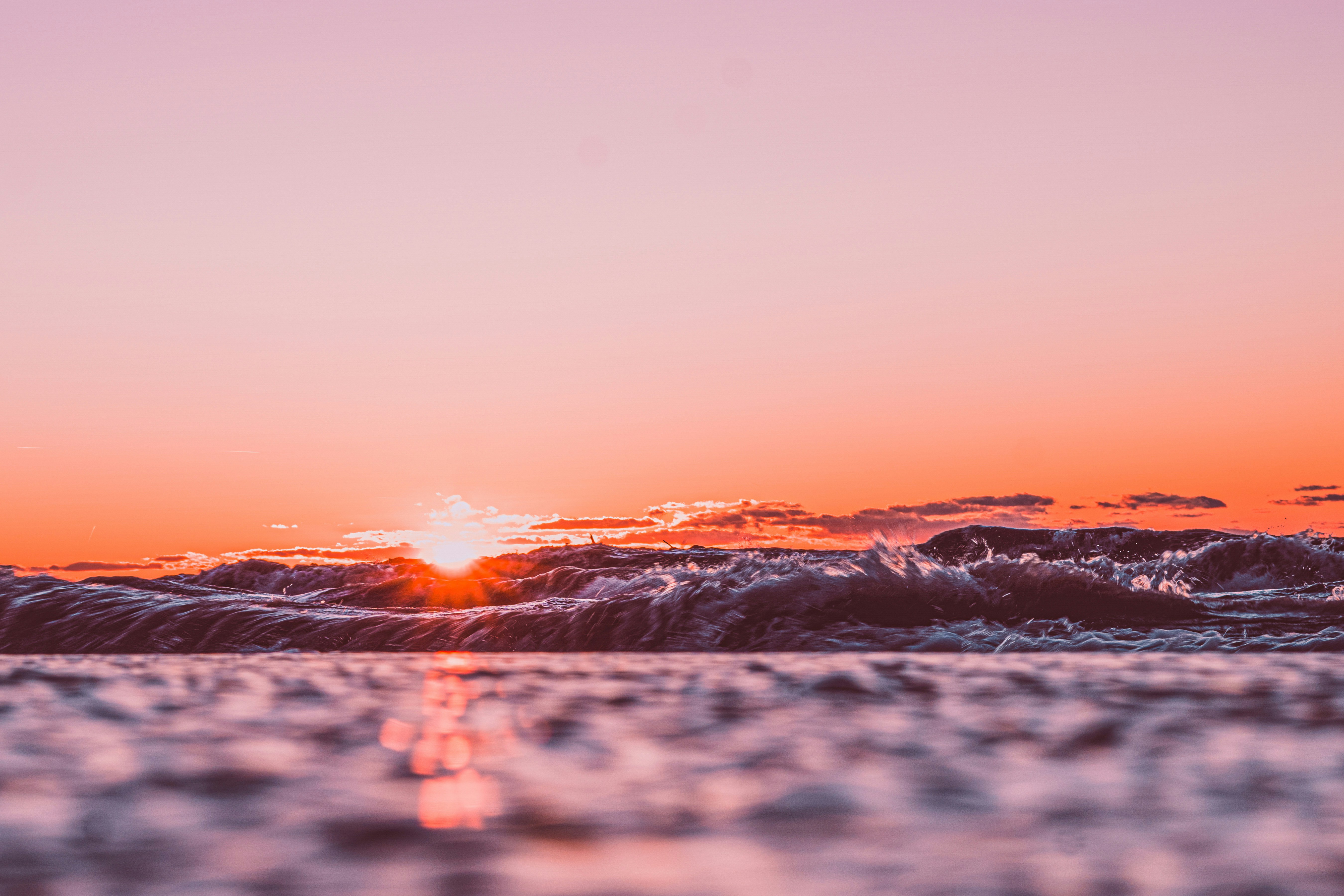 Photo by mharrisonphotography