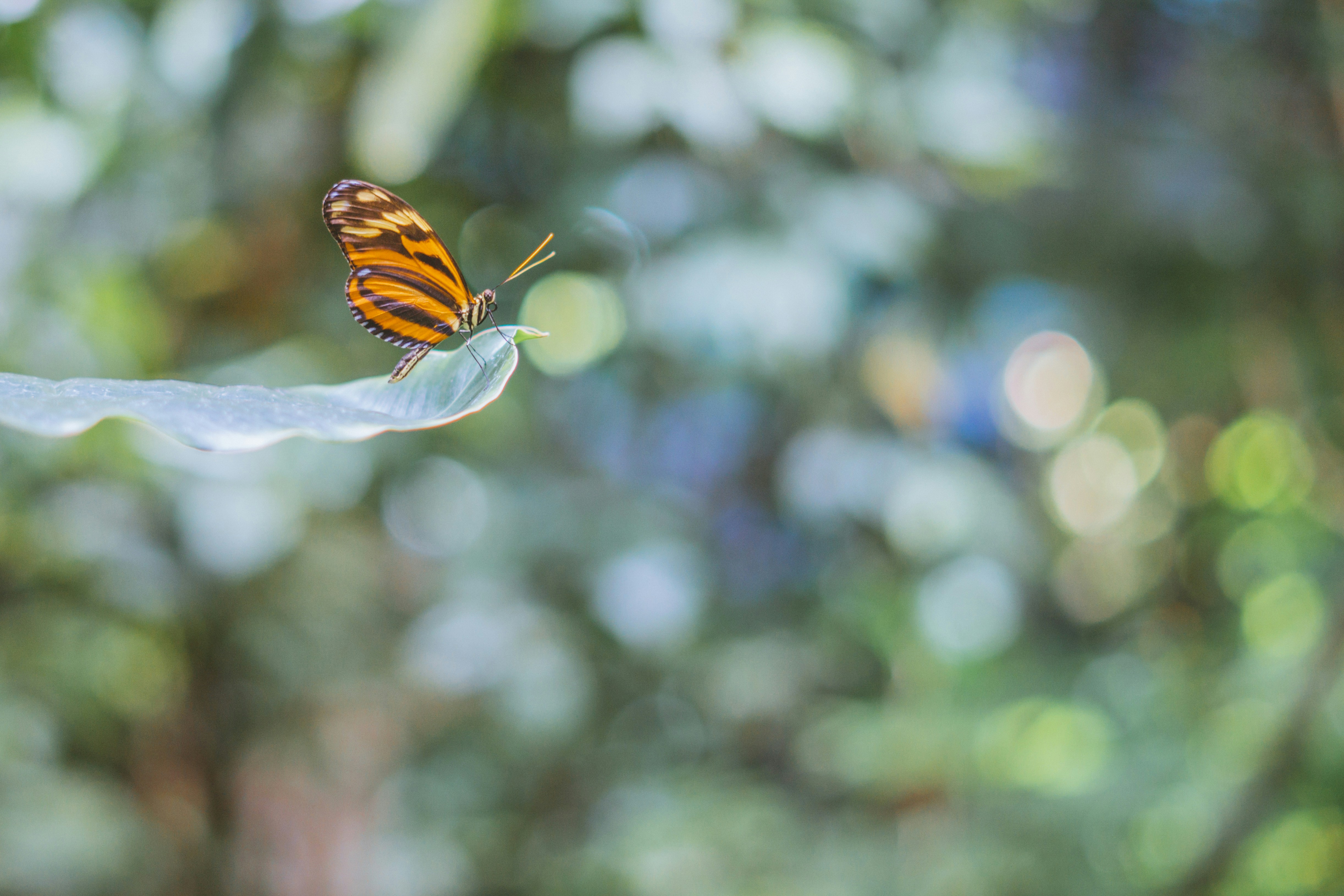 Photo by mharrisonphotography