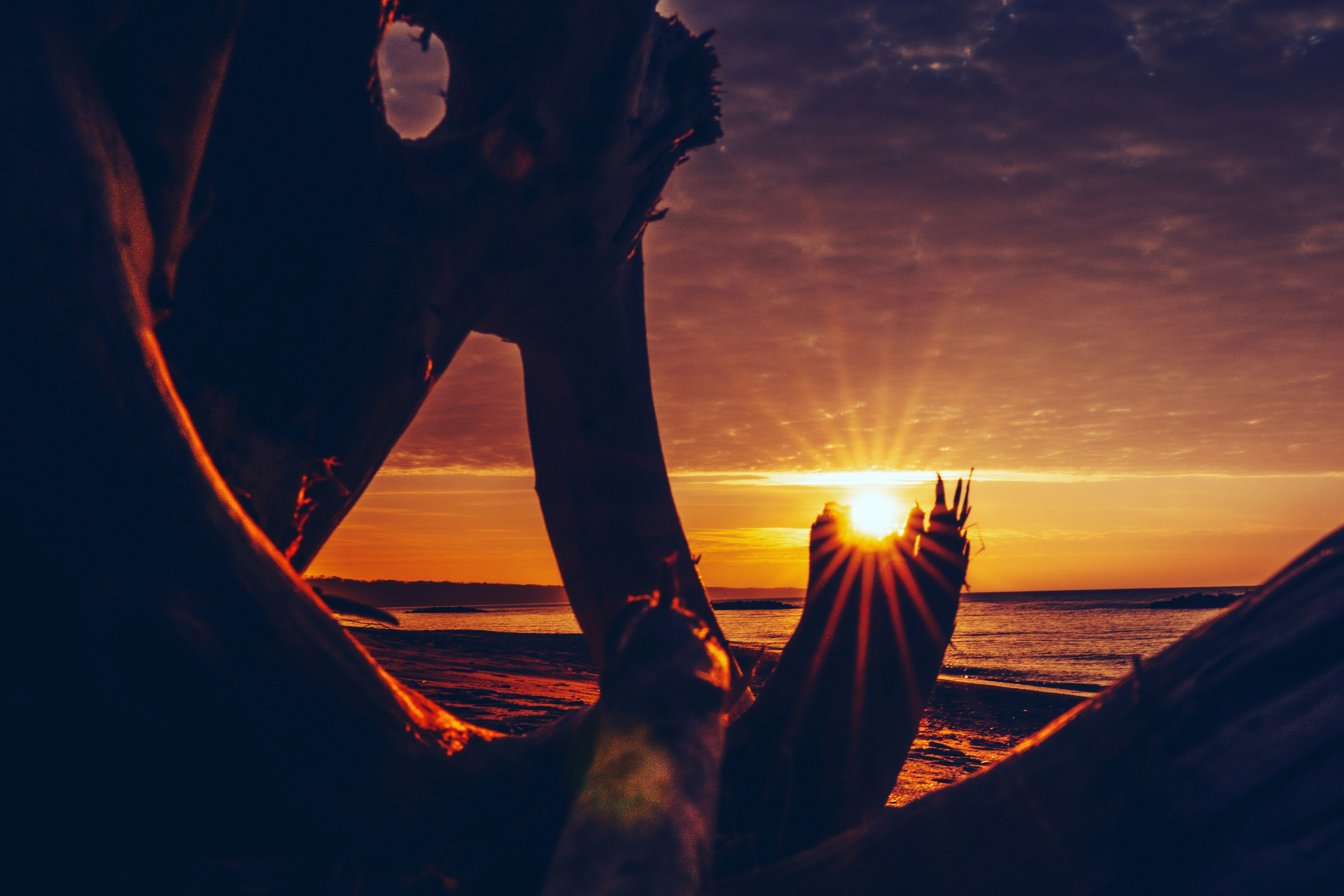 Photo by mharrisonphotography