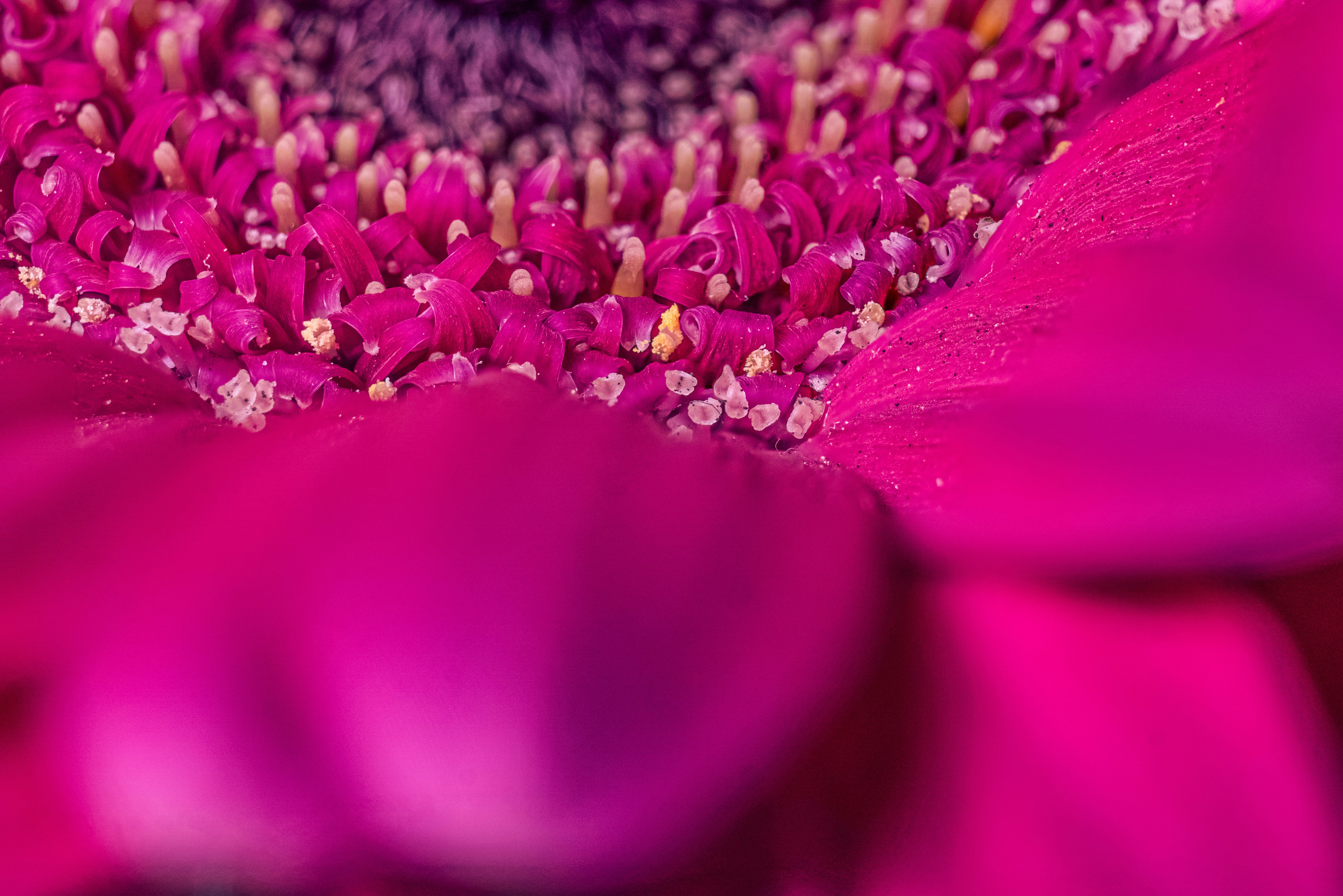 Photo by mharrisonphotography