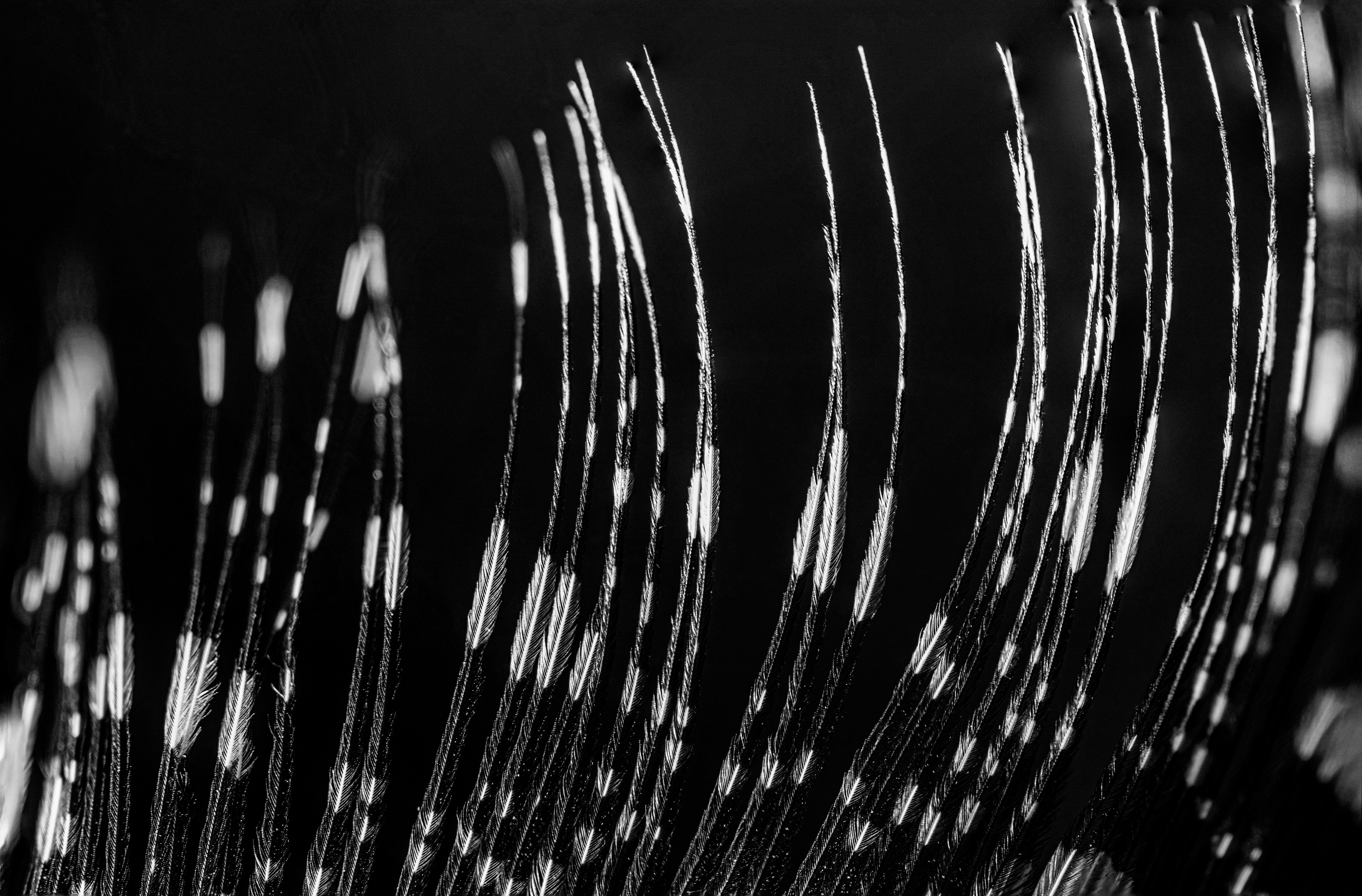 Photo by mharrisonphotography