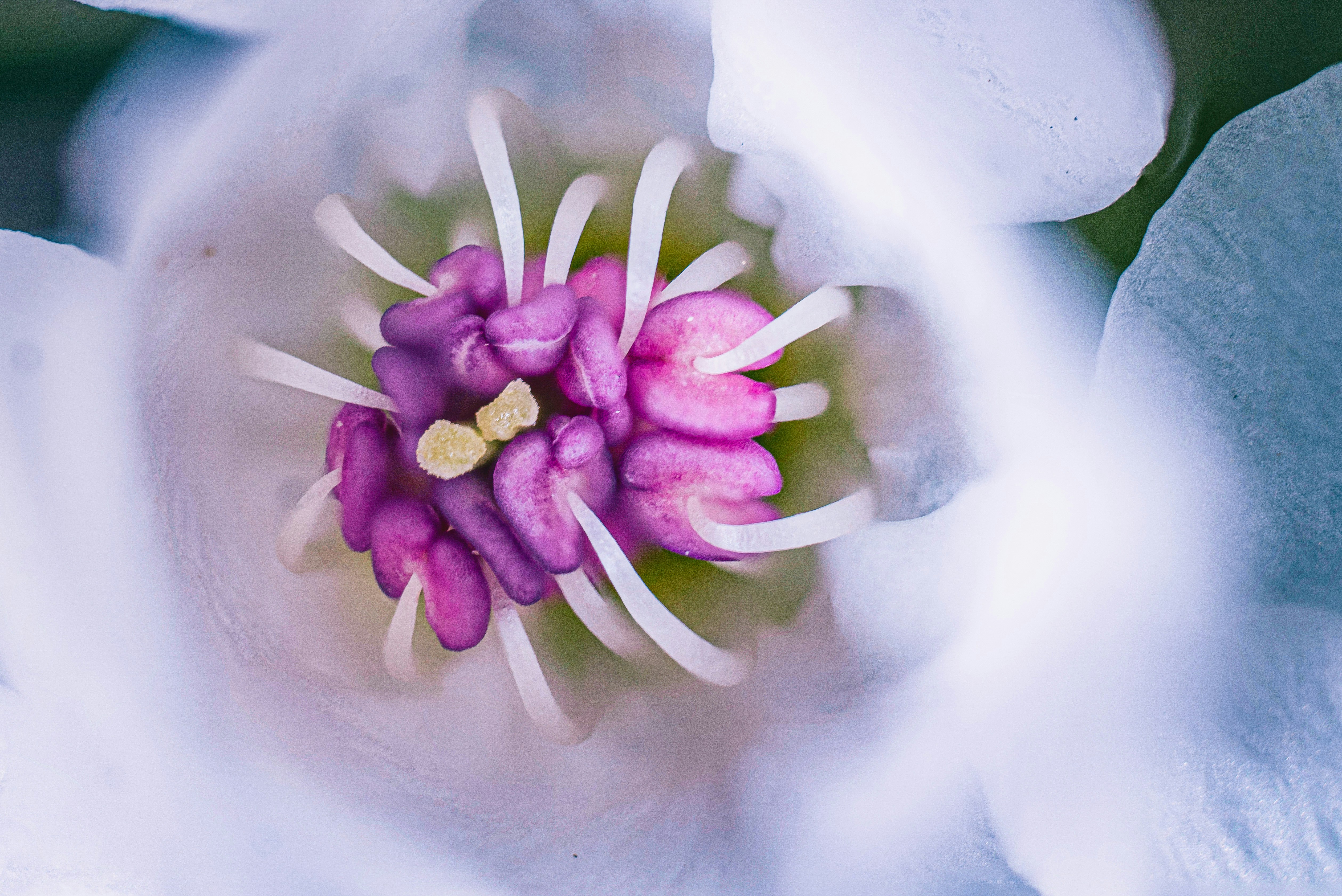 Photo by mharrisonphotography