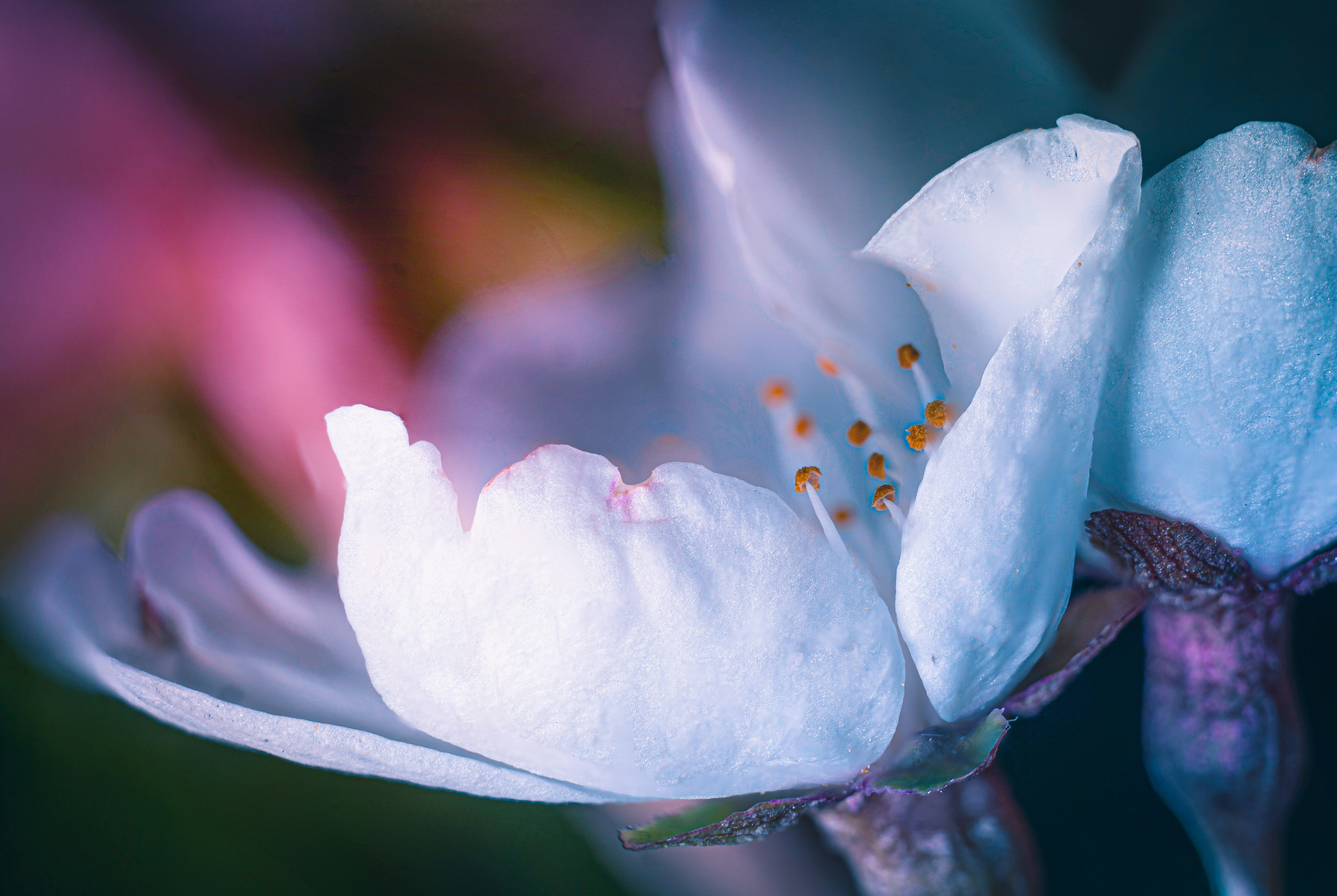 Photo by mharrisonphotography