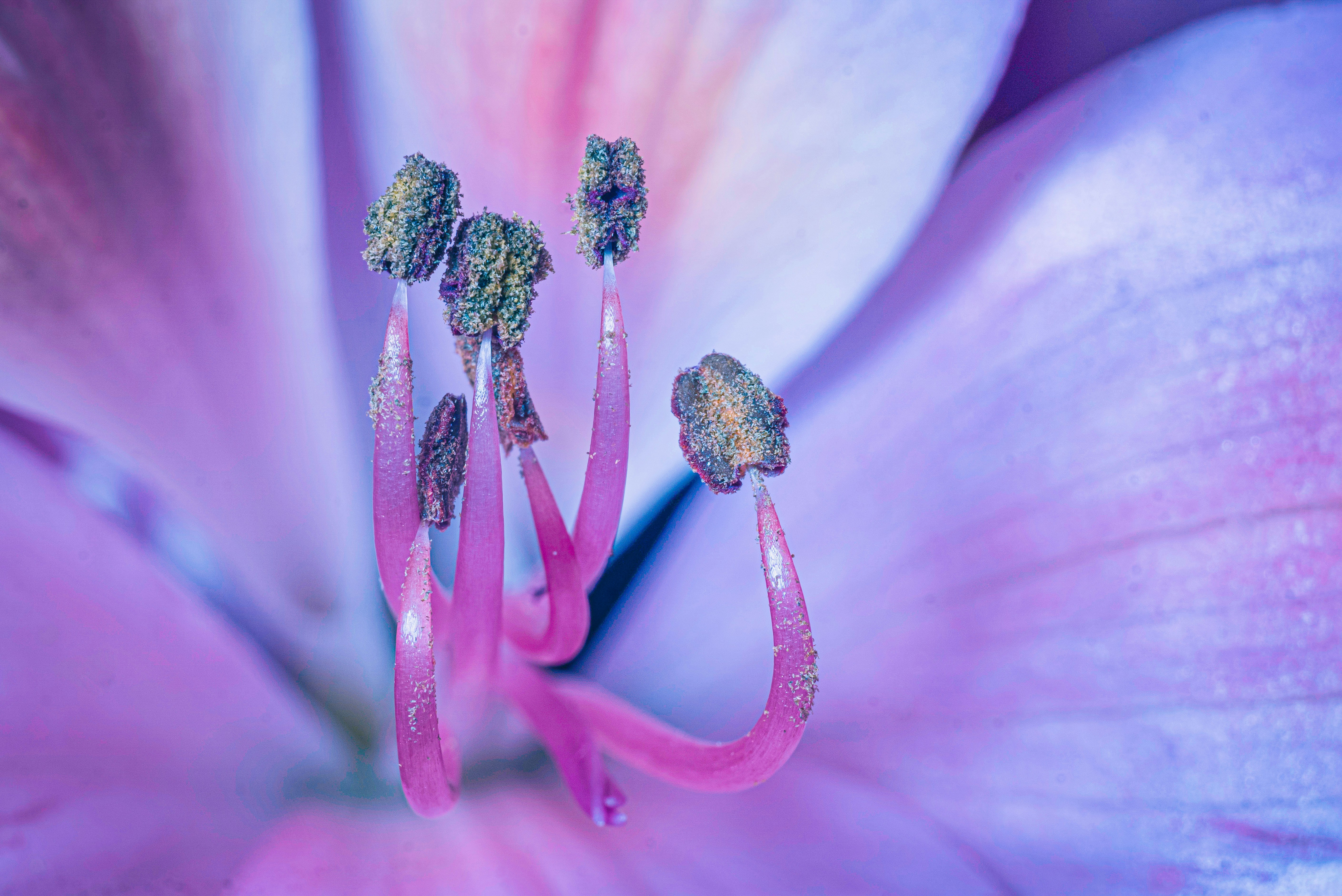 Photo by mharrisonphotography