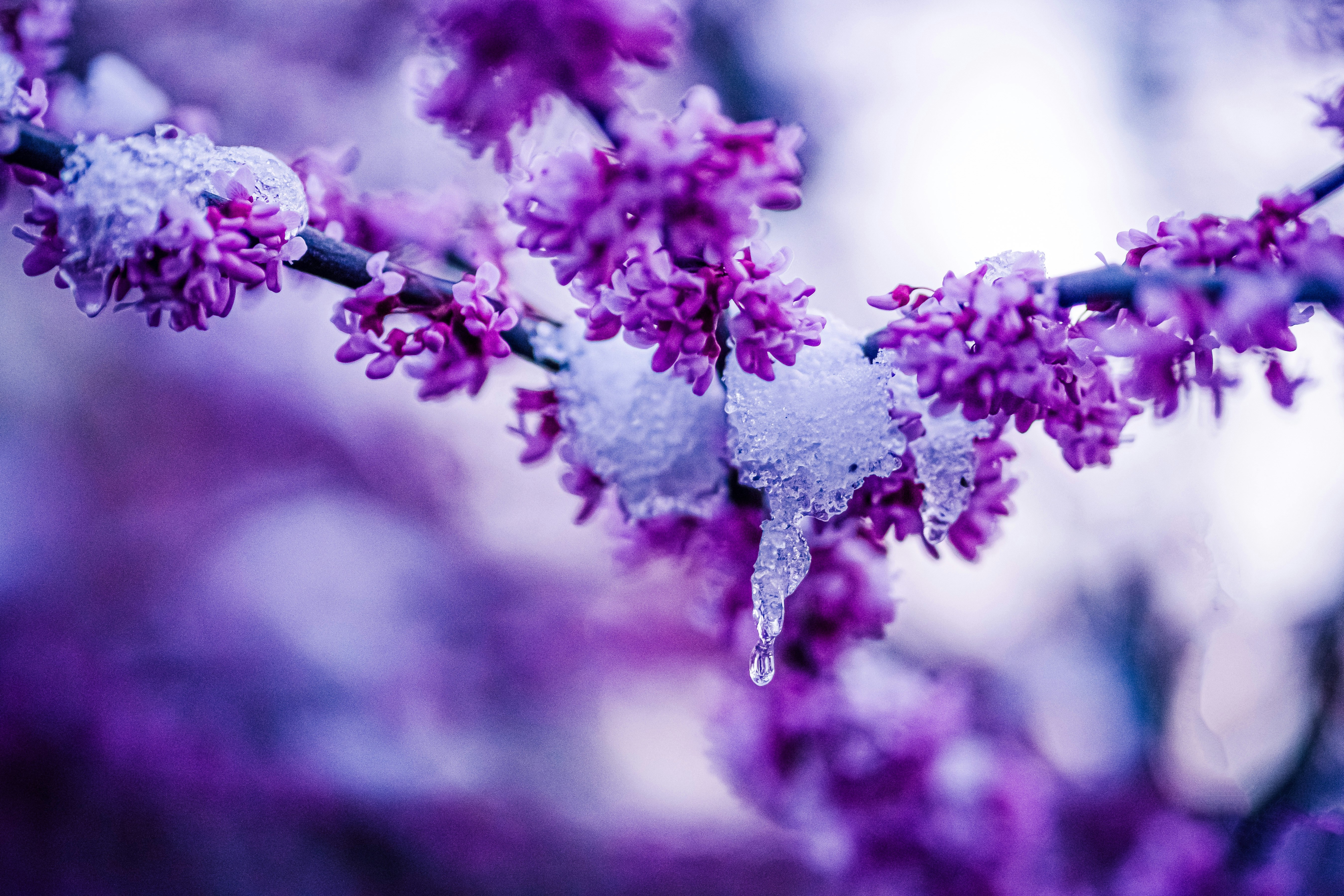 Photo by mharrisonphotography