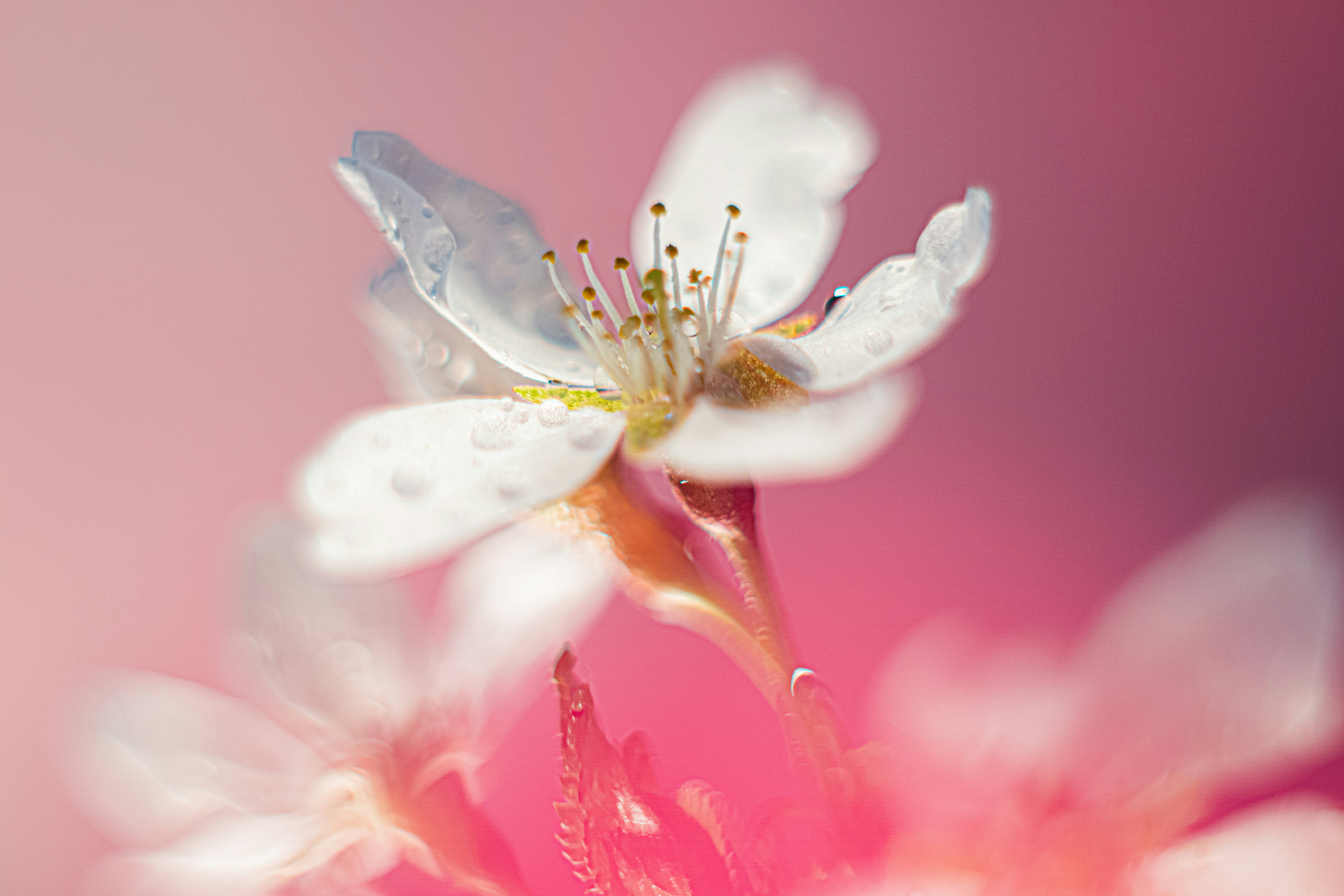 Photo by mharrisonphotography