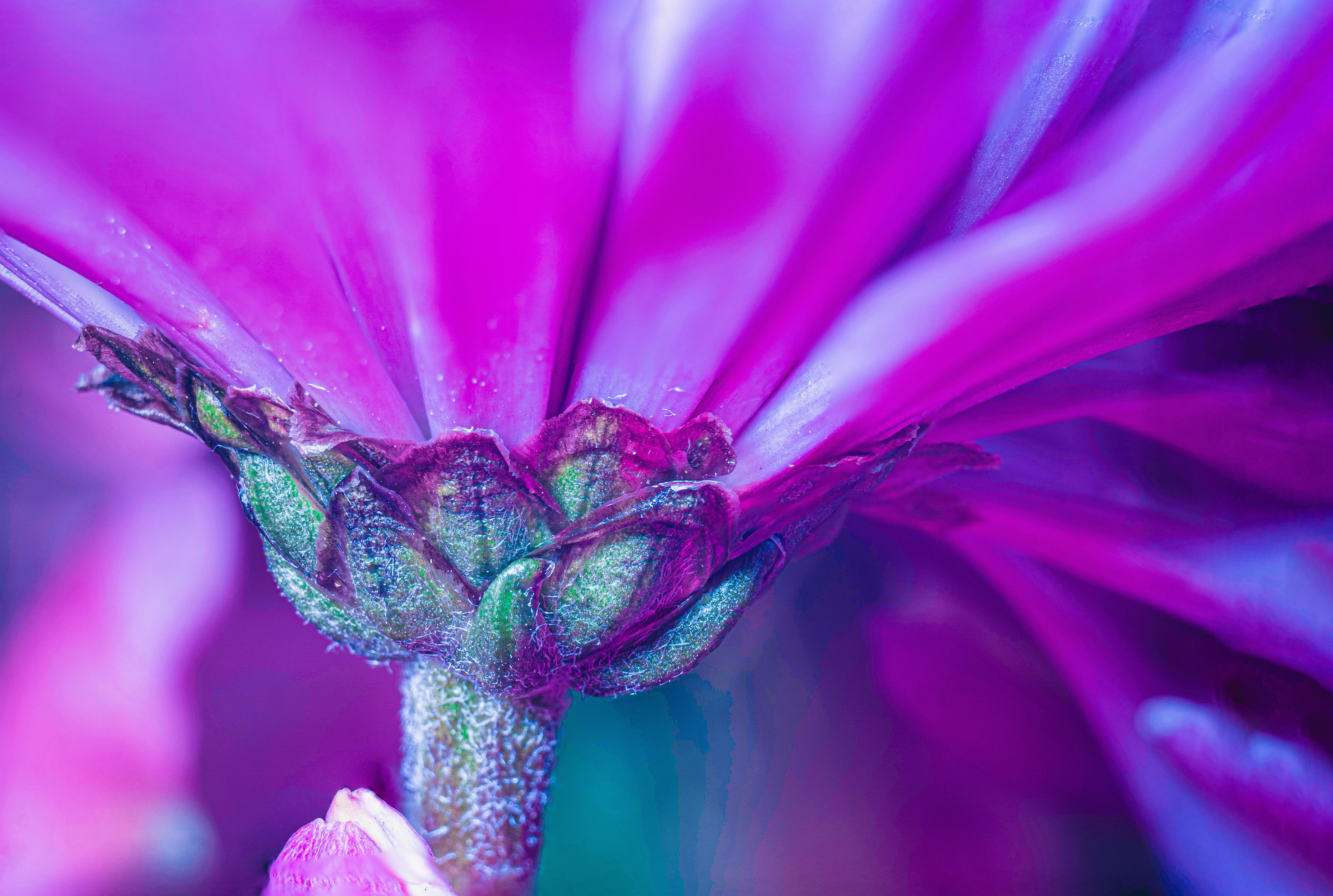 Photo by mharrisonphotography