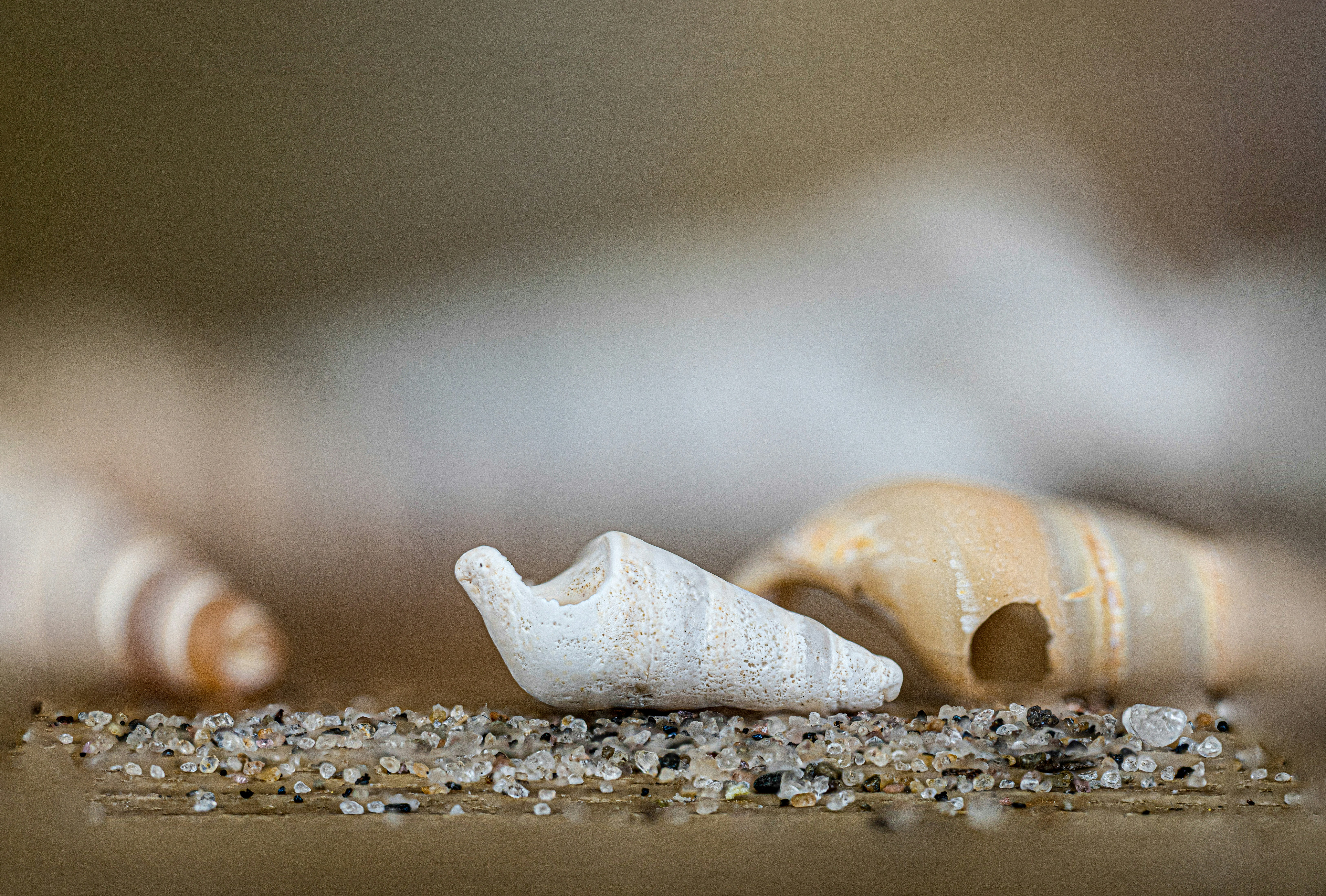 Photo by mharrisonphotography