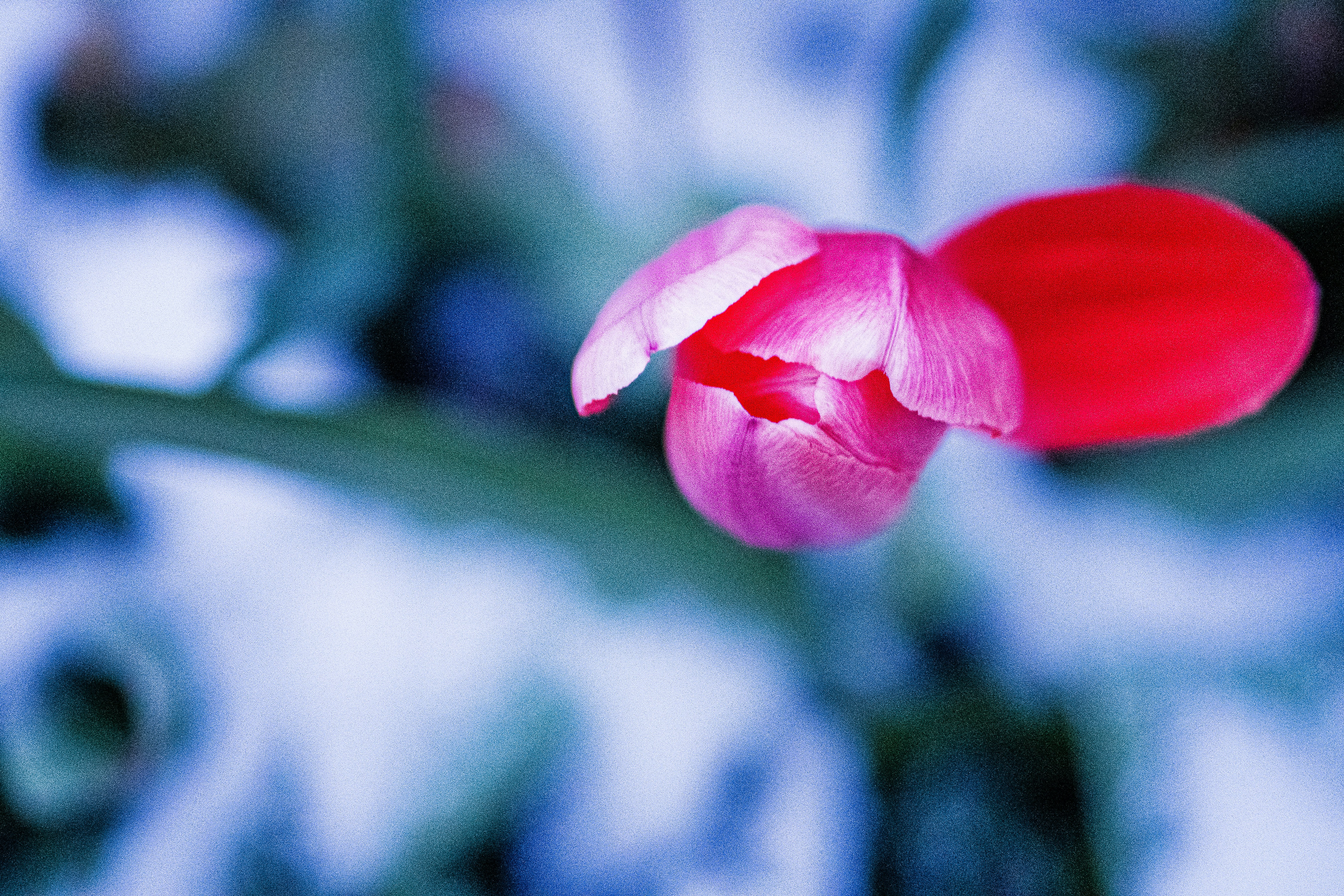 Photo by mharrisonphotography