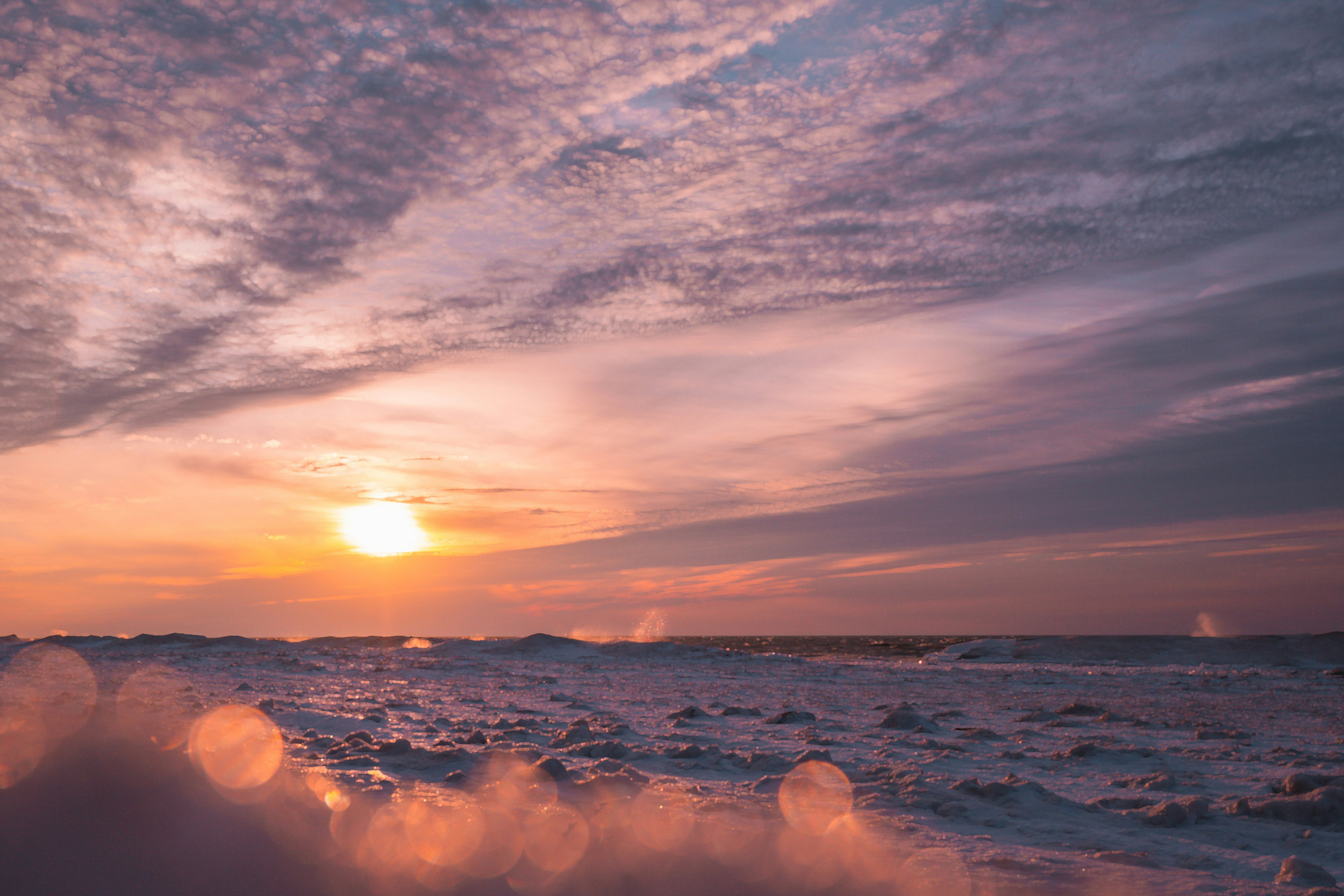 Photo by mharrisonphotography