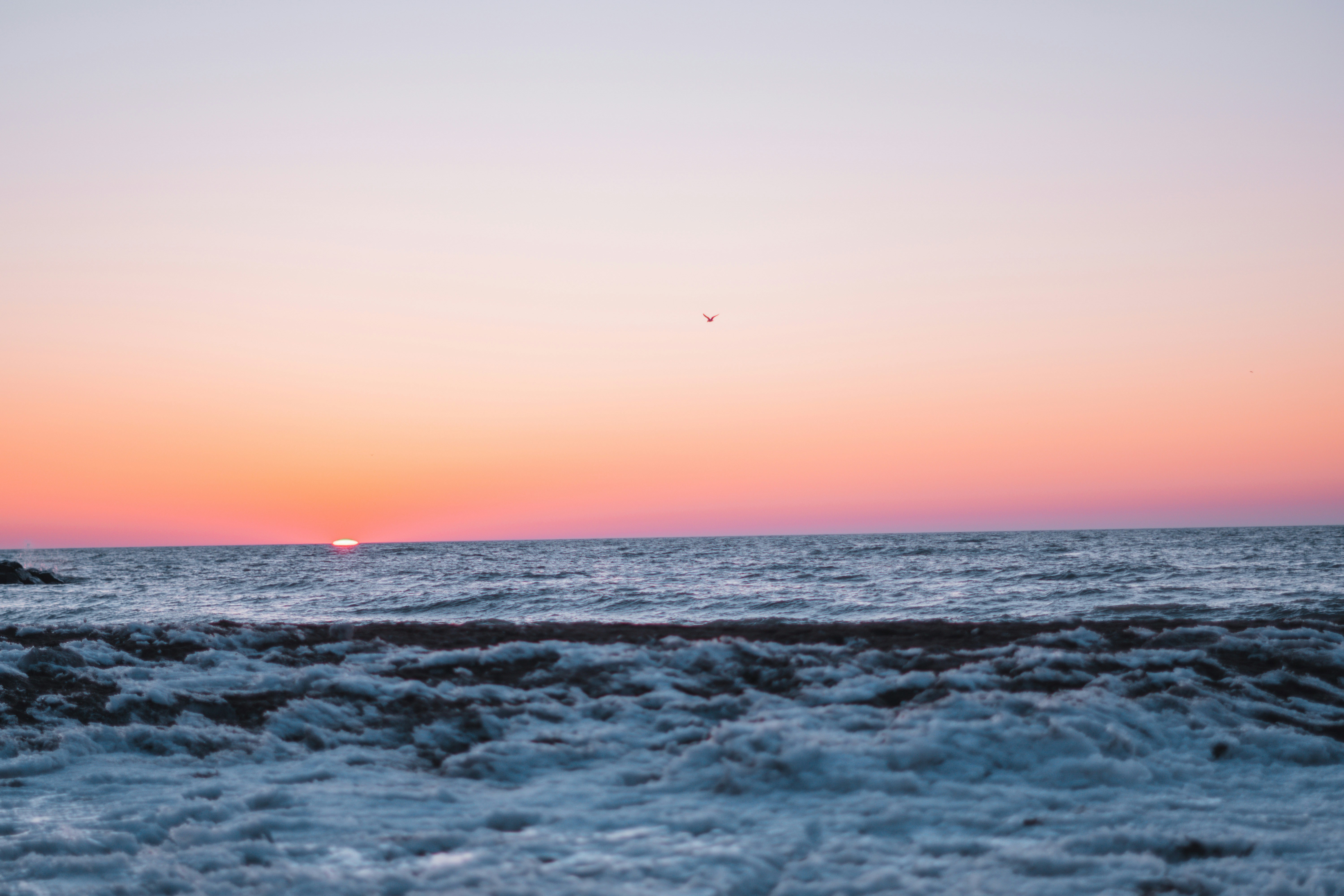 Photo by mharrisonphotography